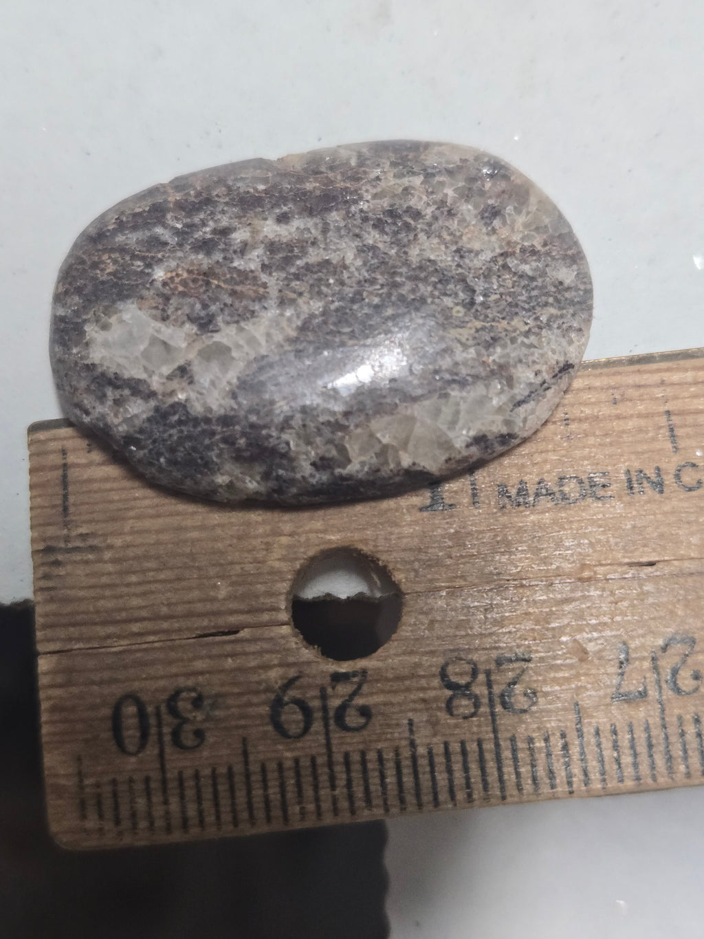 Dinosaur Bone Cabochon