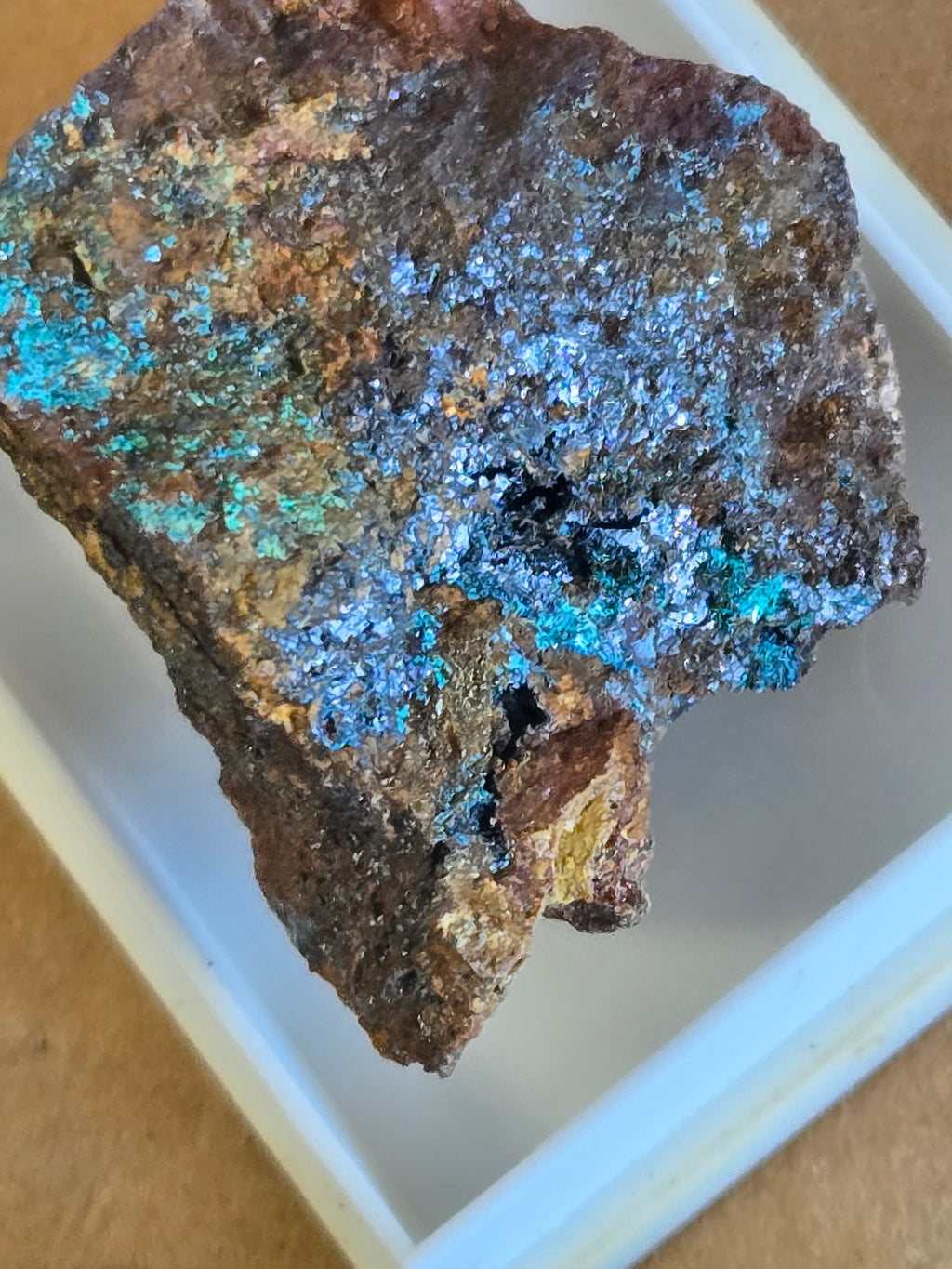 Posnjakite