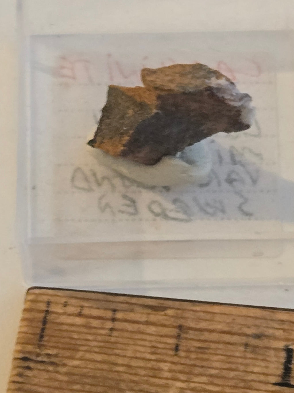 Caryinite