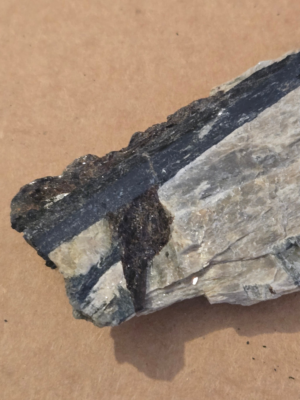 Aegirine lamprophyllite with mica
