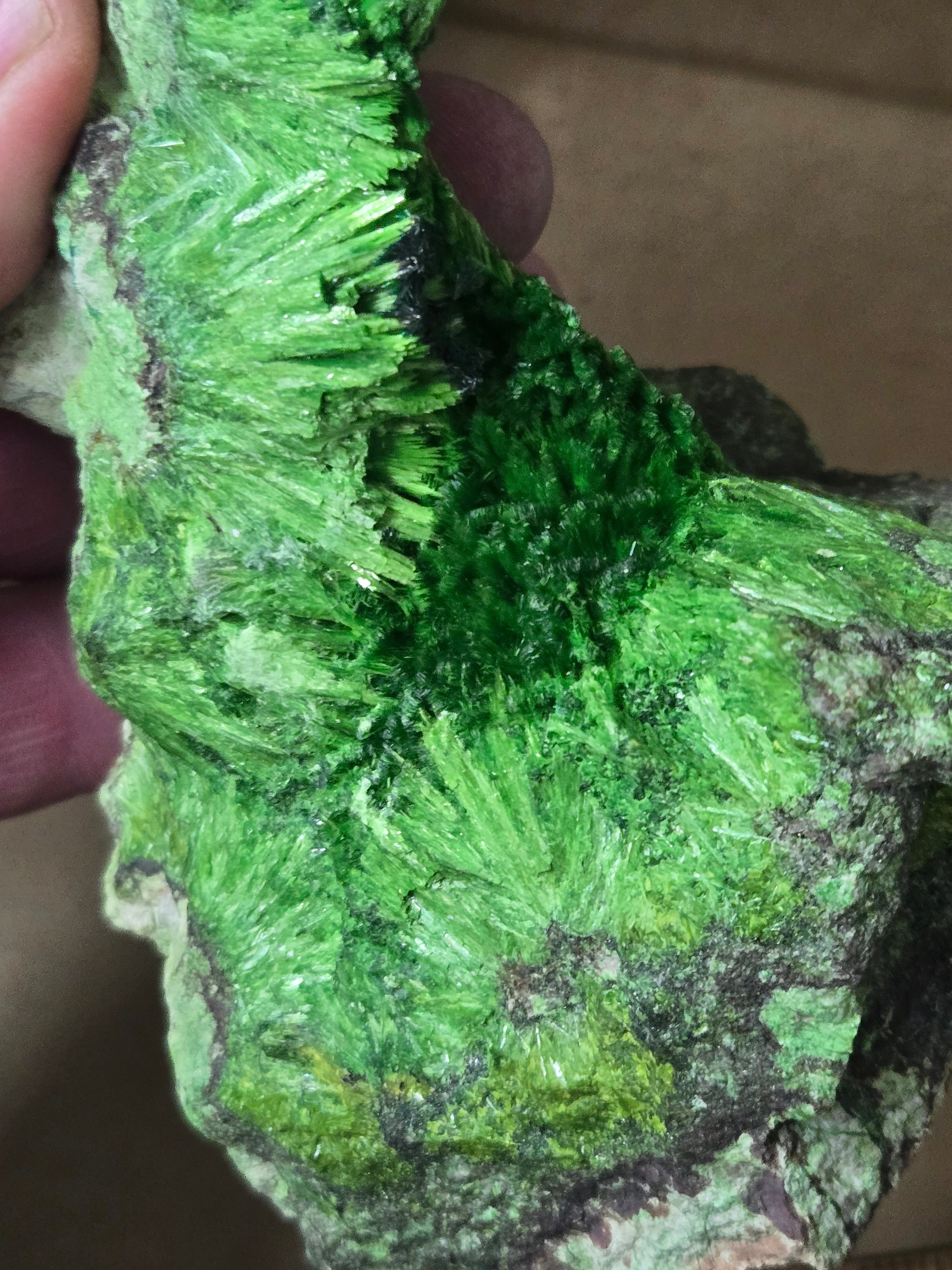 Cuprosklodowskite with vandenbrandeite
