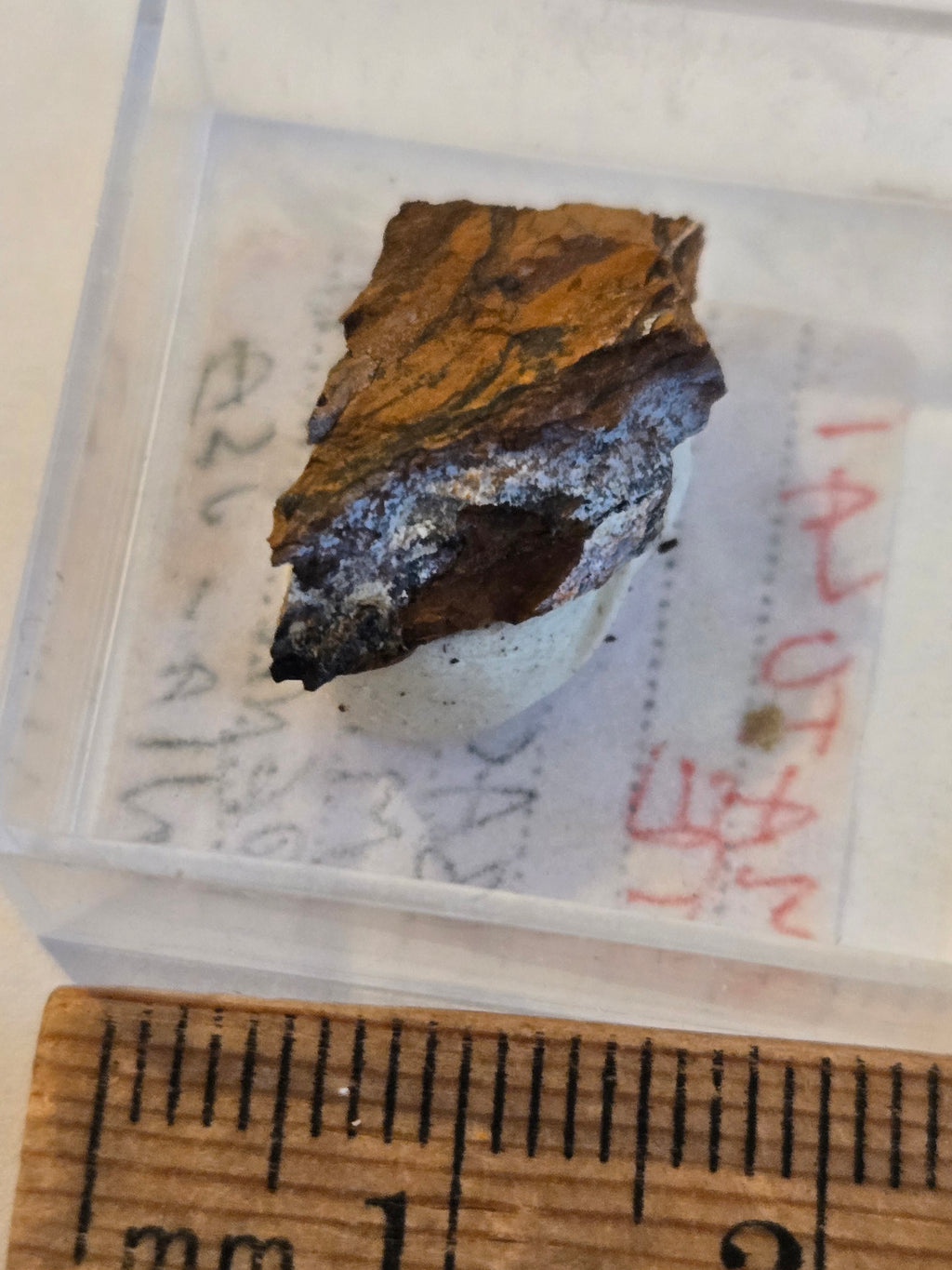 Matulaite