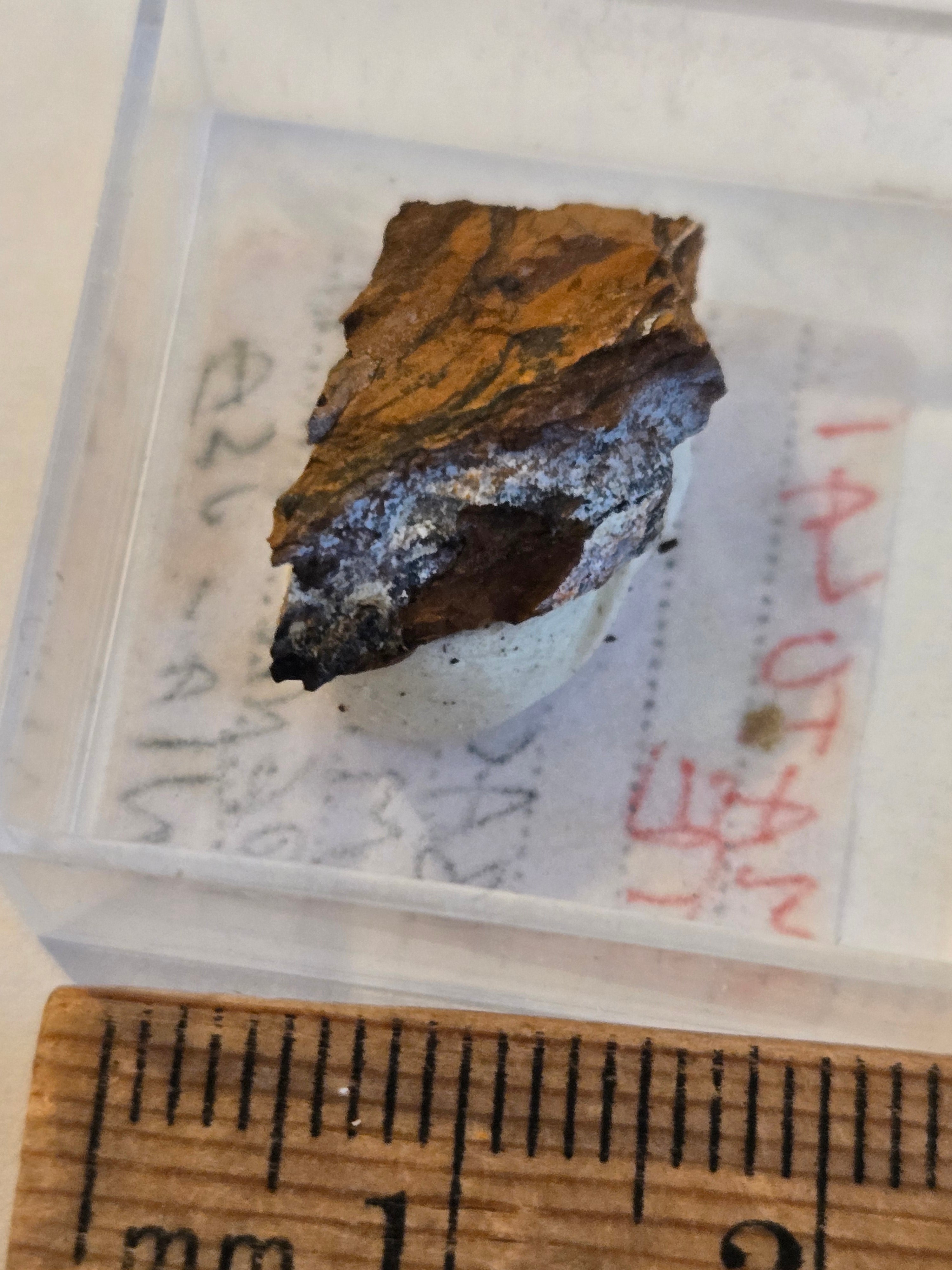 Matulaite