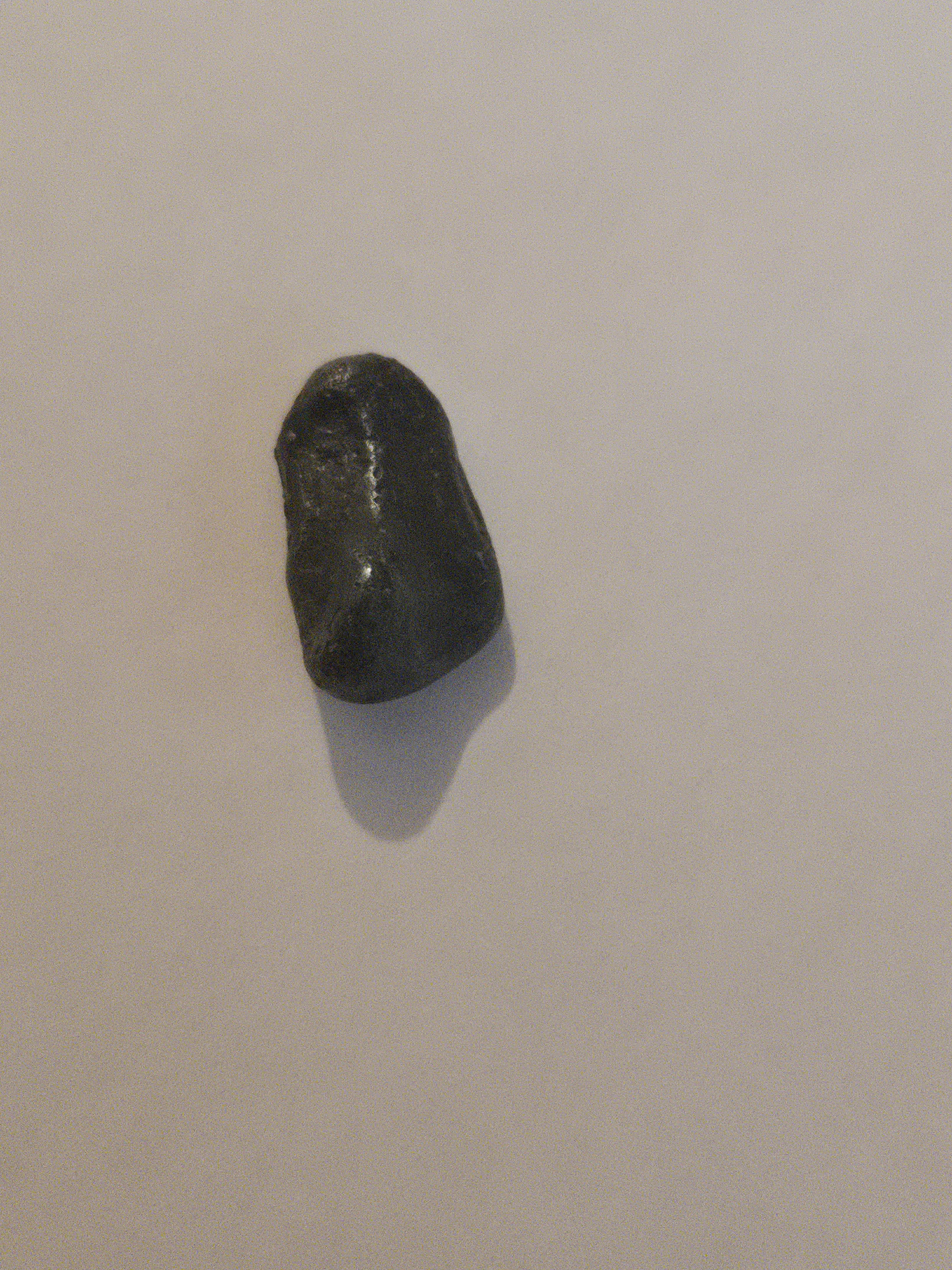 Sikhote Alin meteorite specimen