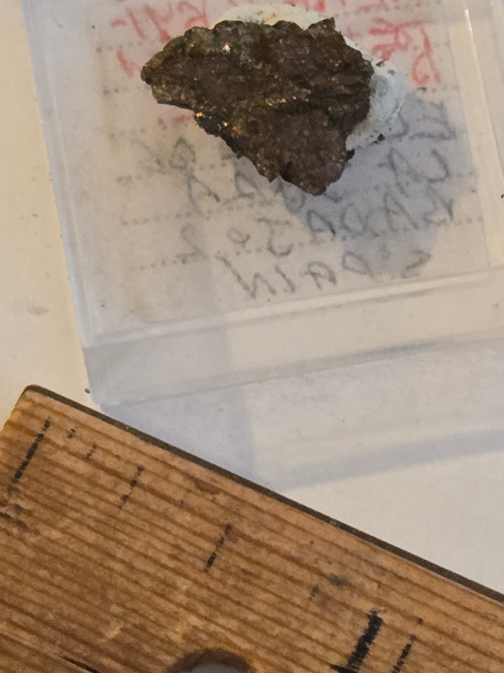 Merenskyite w pentlandite