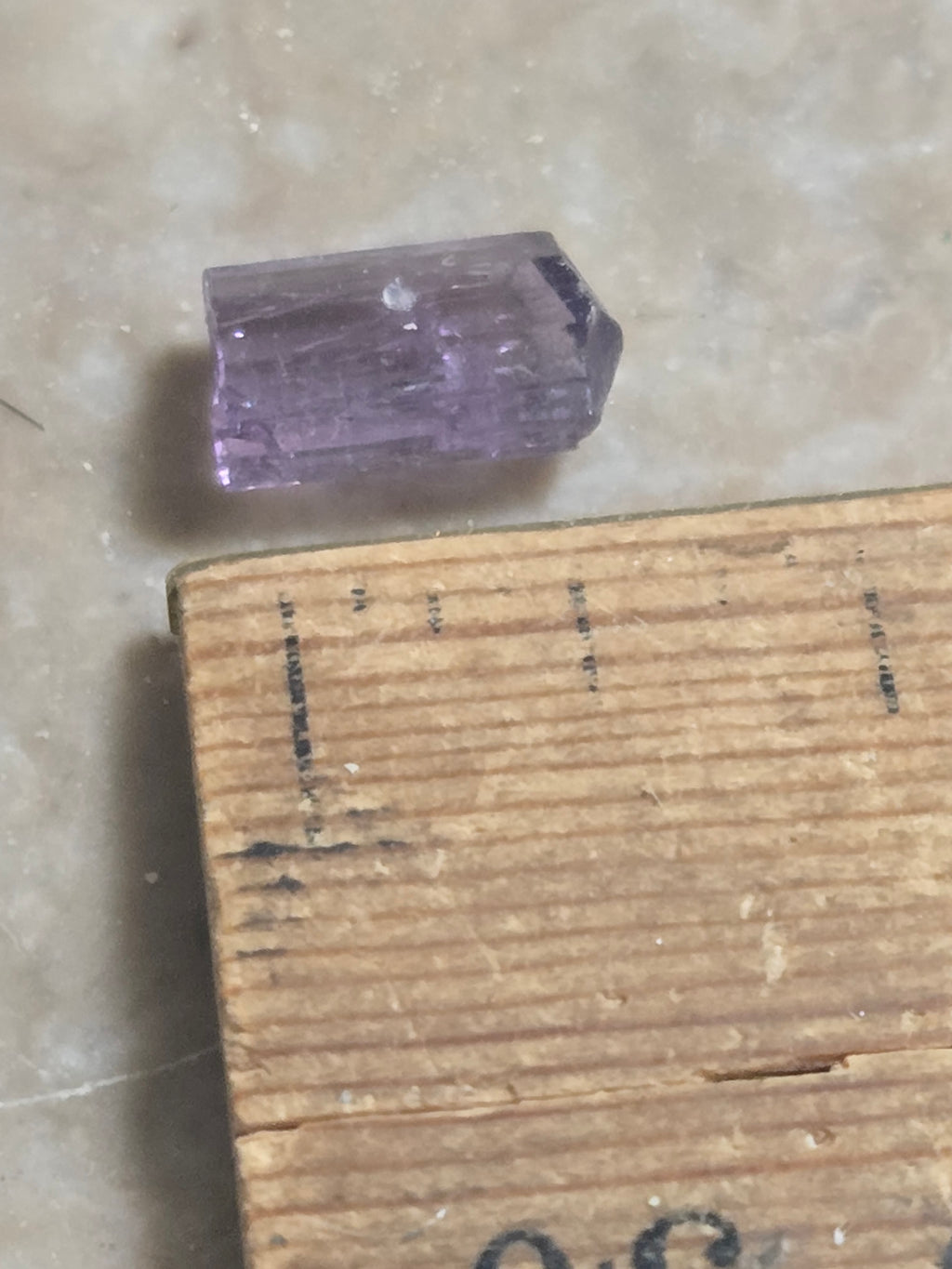 Scapolite