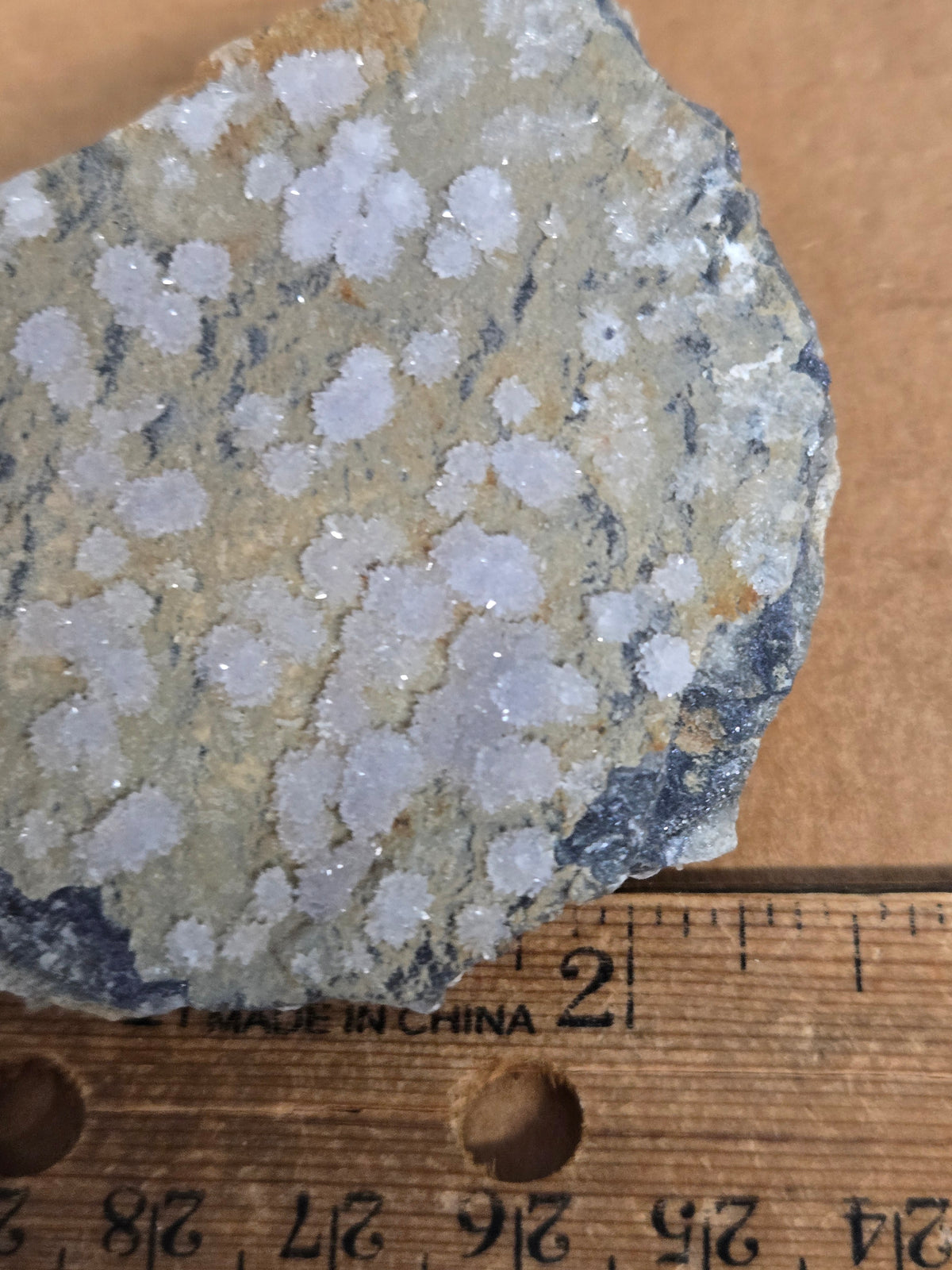 Creedite