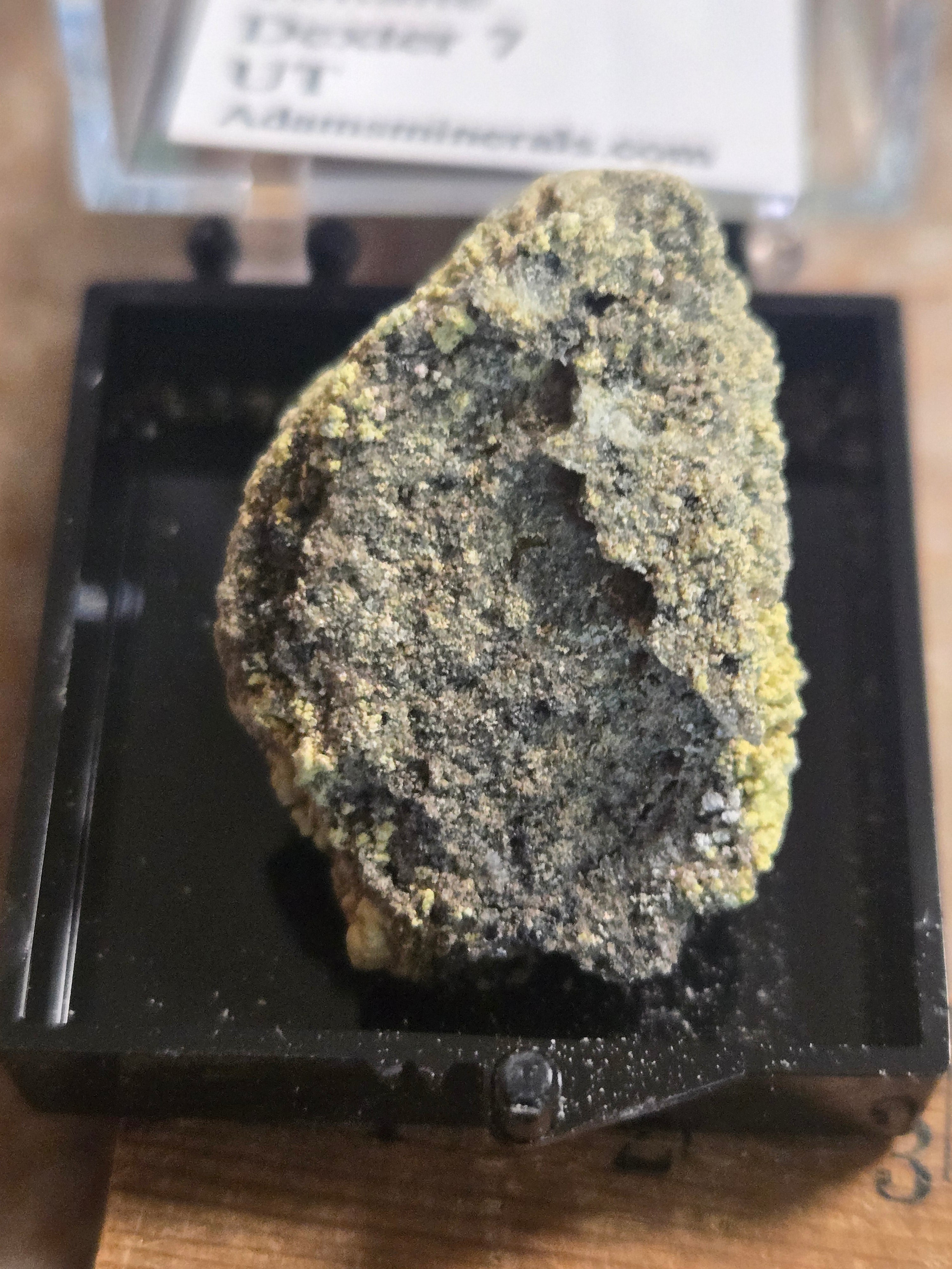 Copiapite coquimbite voltaite