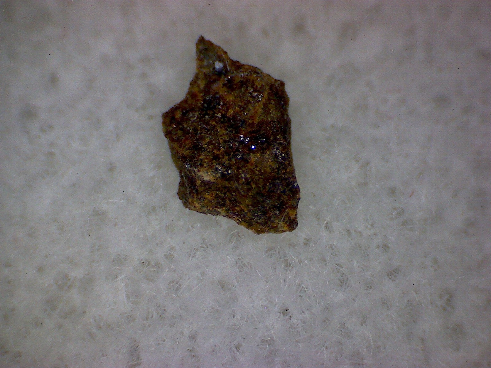 Sahara 99601 Meteorite Specimen