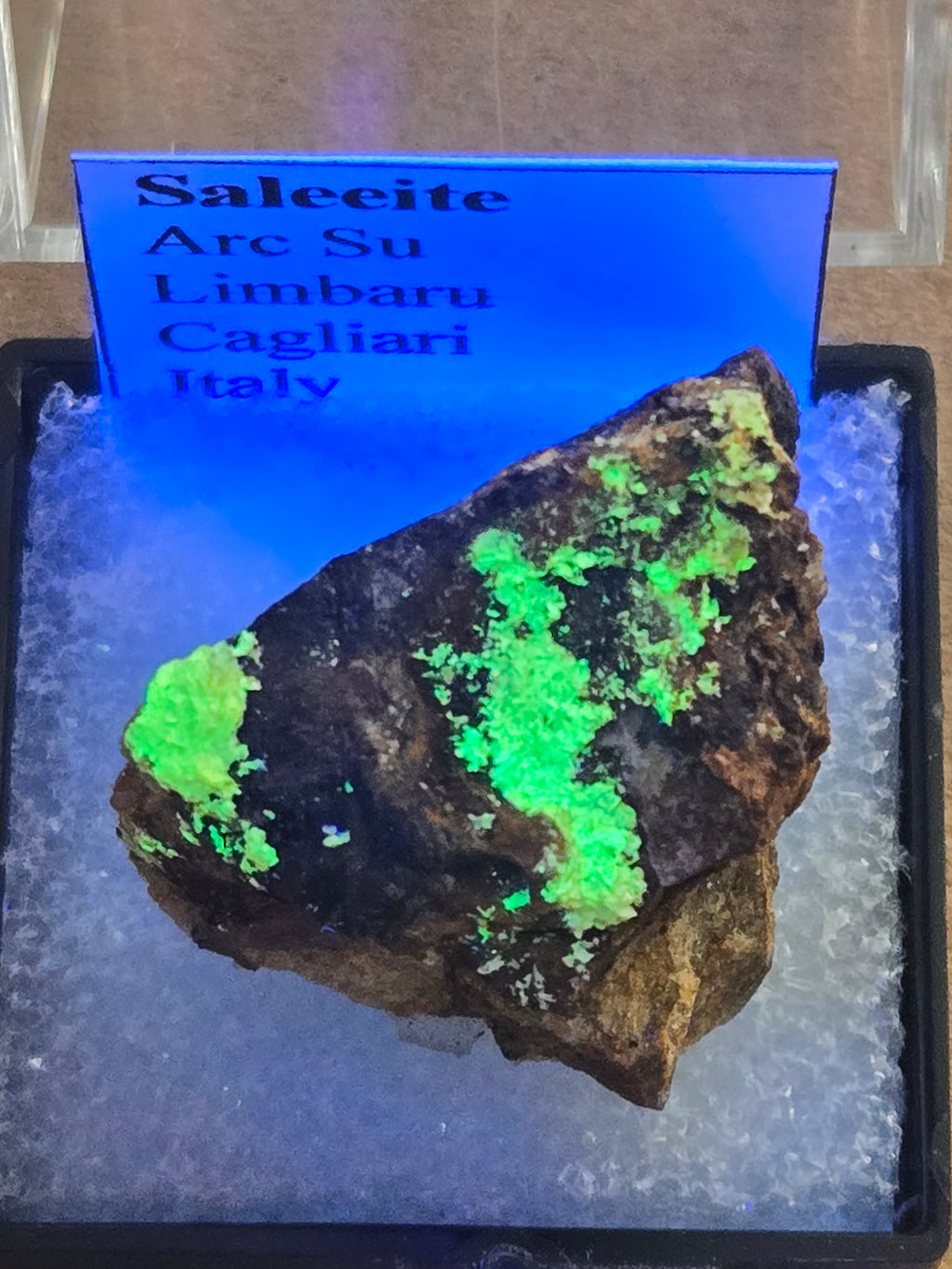 Saleeite