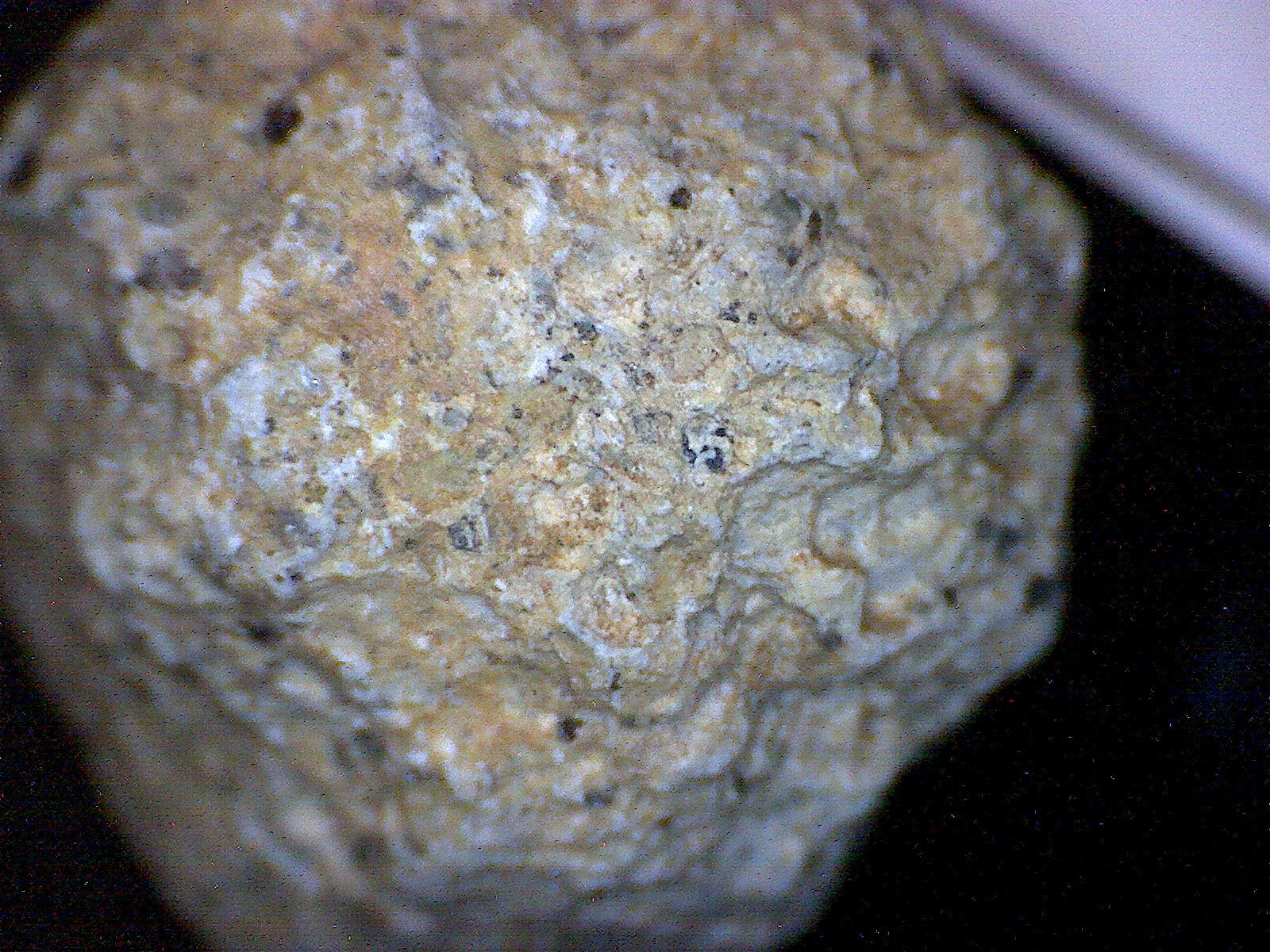 Sanidine