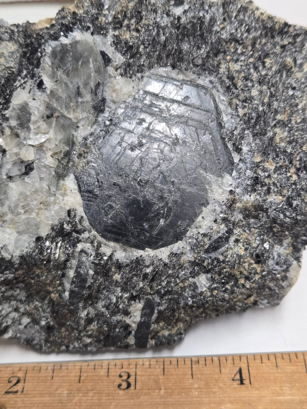 Sapphirine