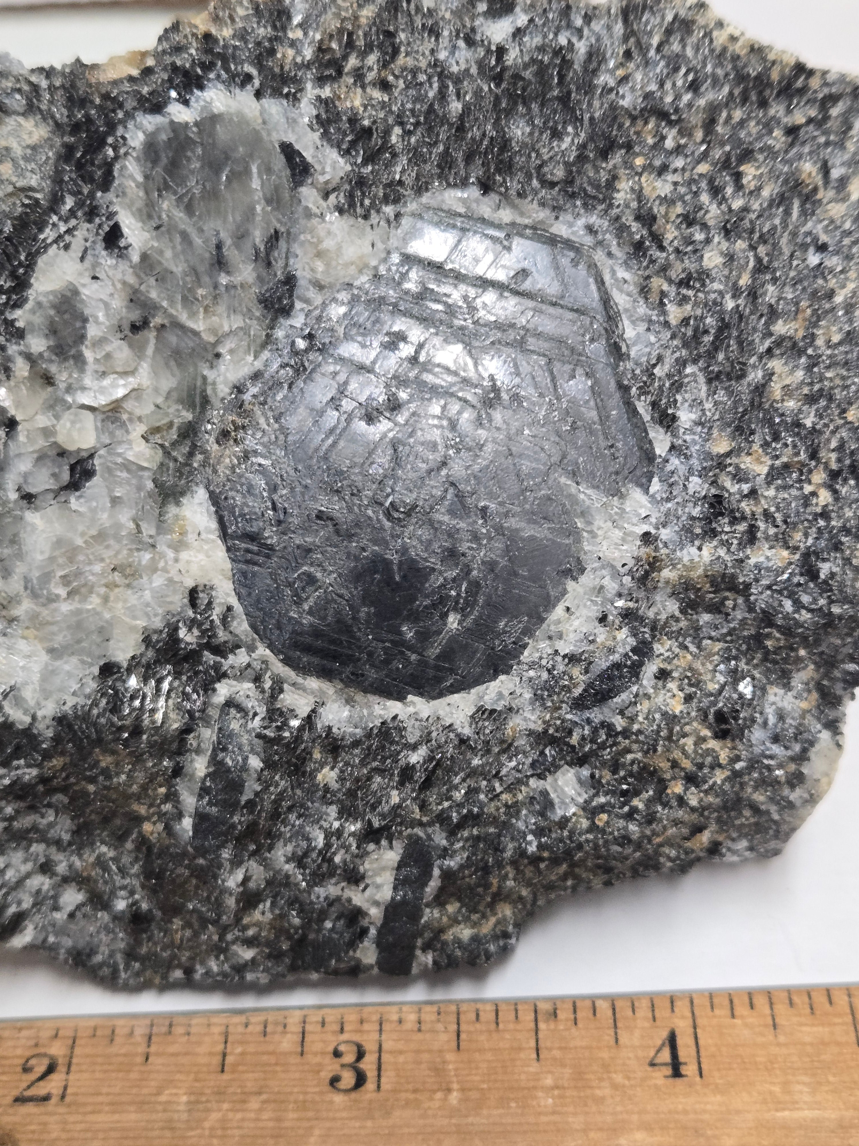 Sapphirine