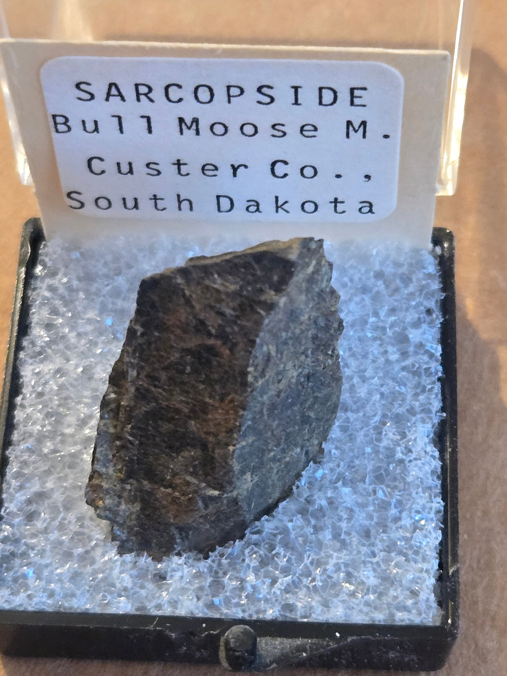 Sarcopside
