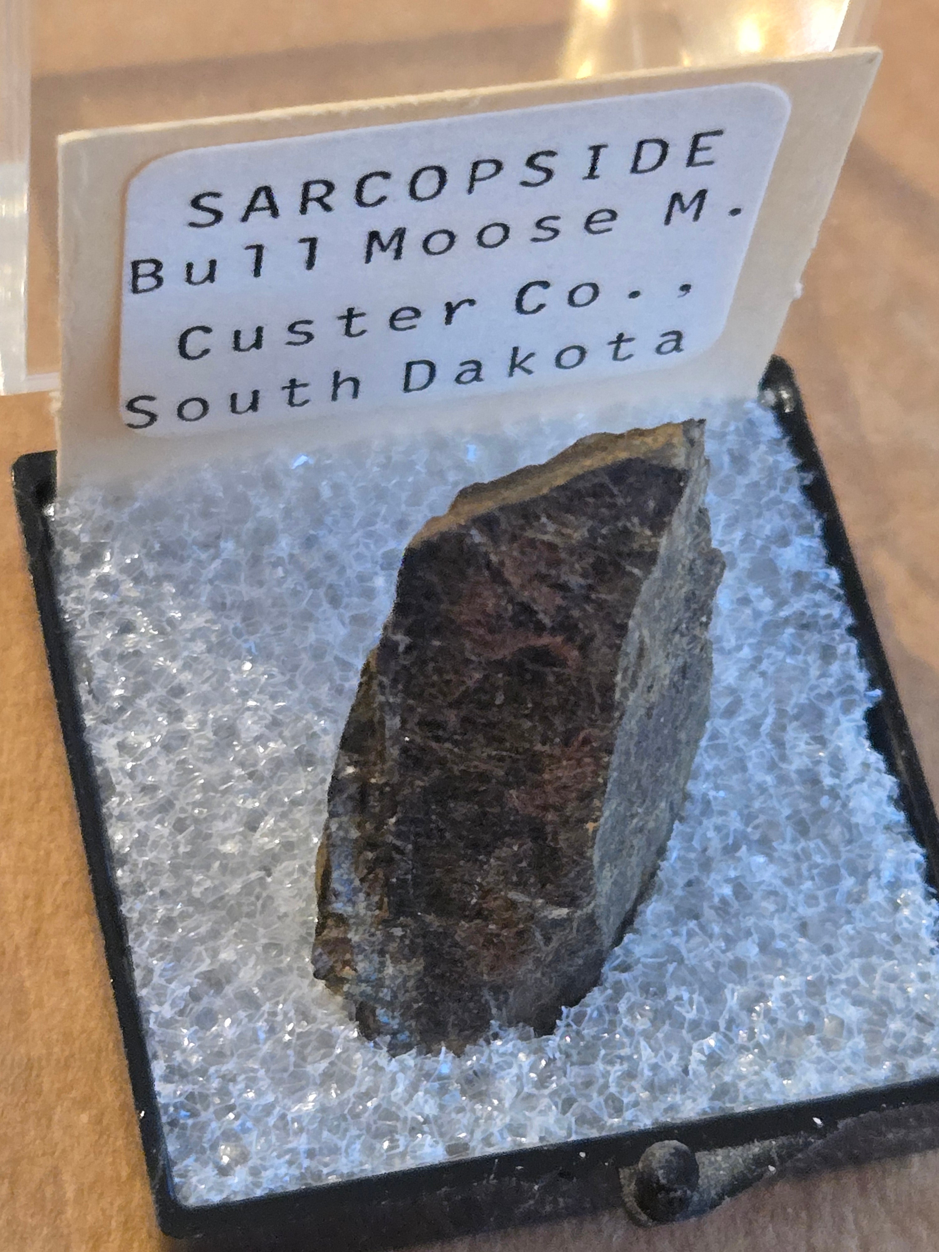 Sarcopside