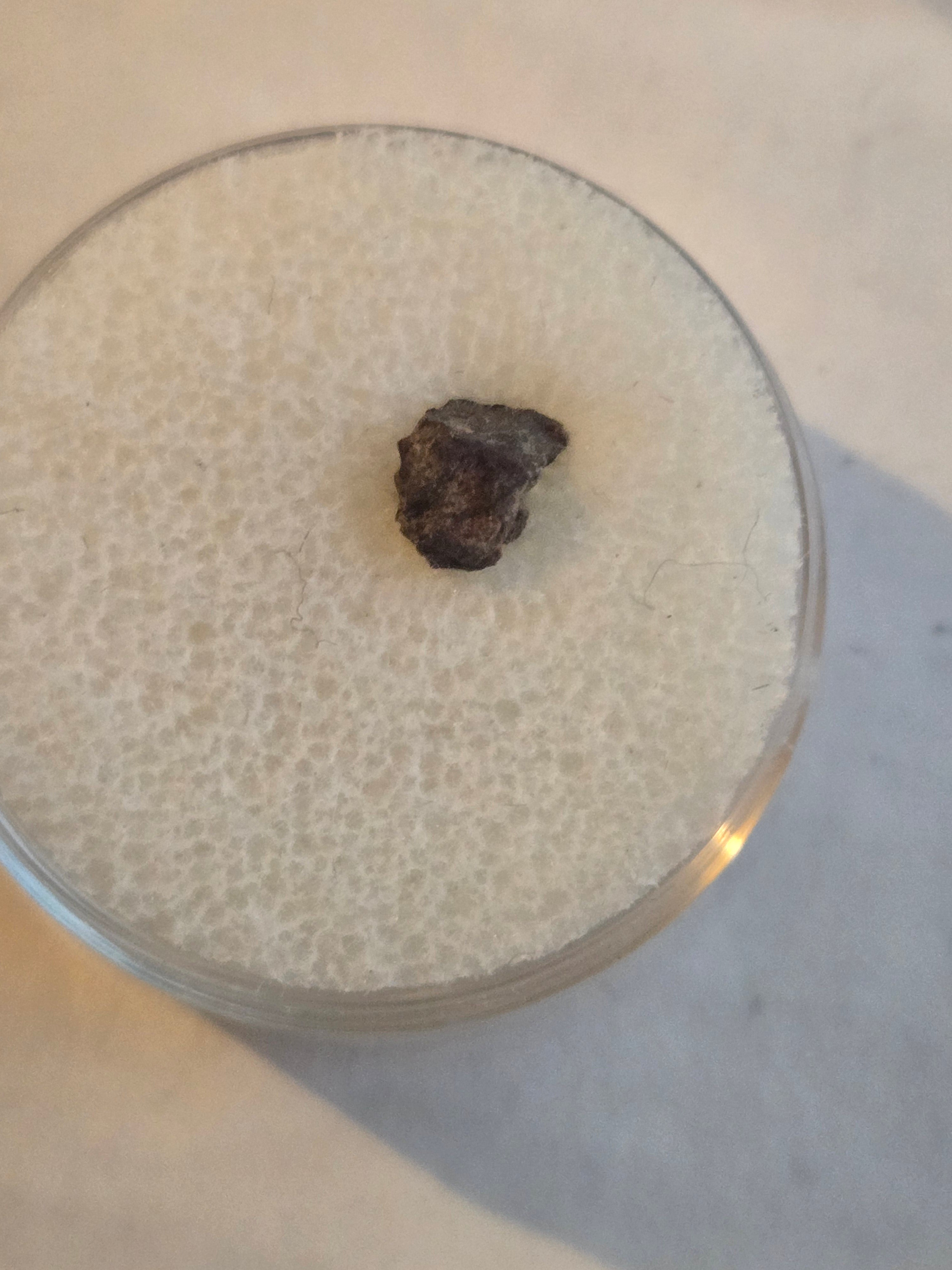 Sayh al Uhaymir 001 meteorite specimen