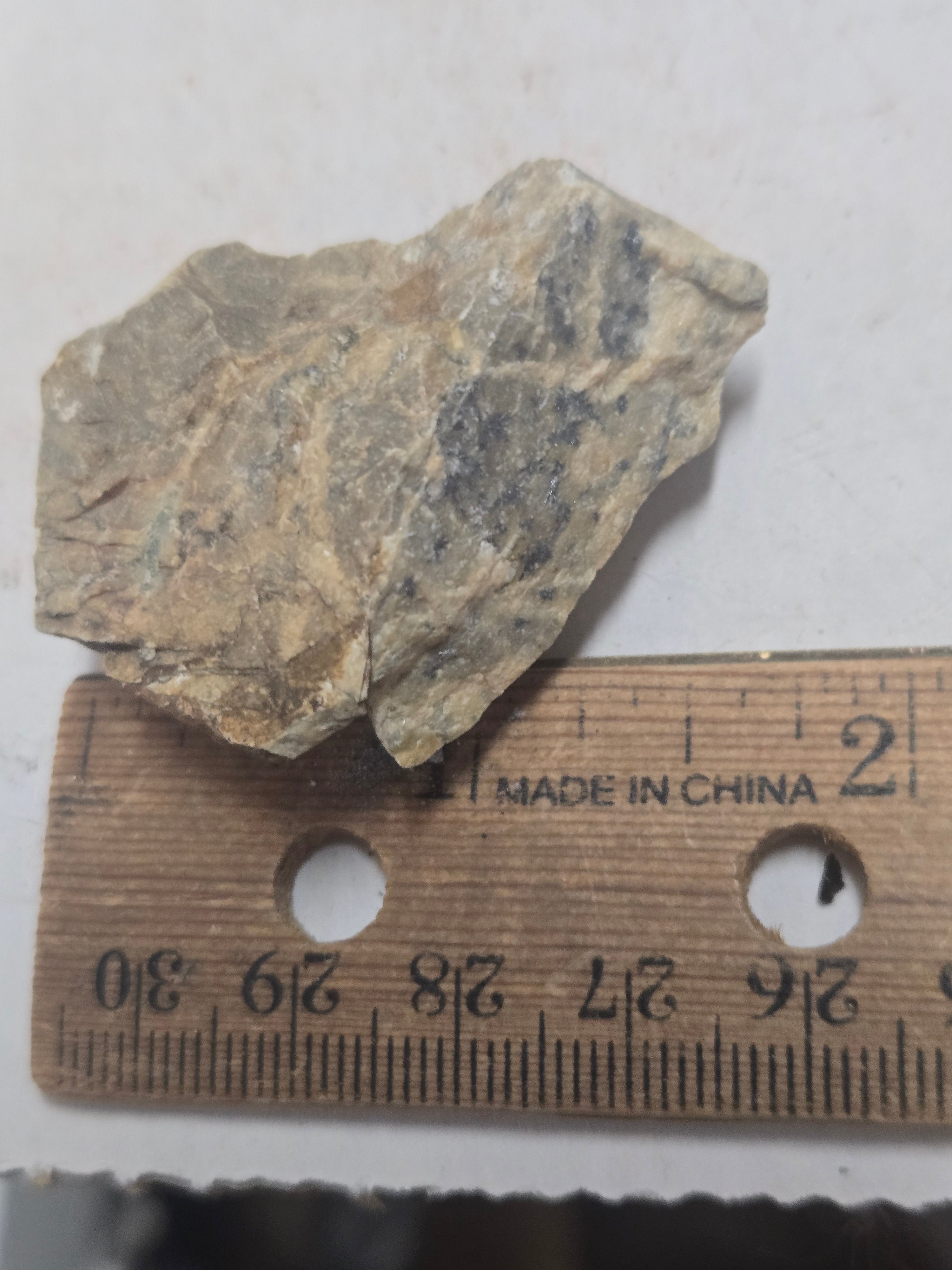 Scainiite specimen