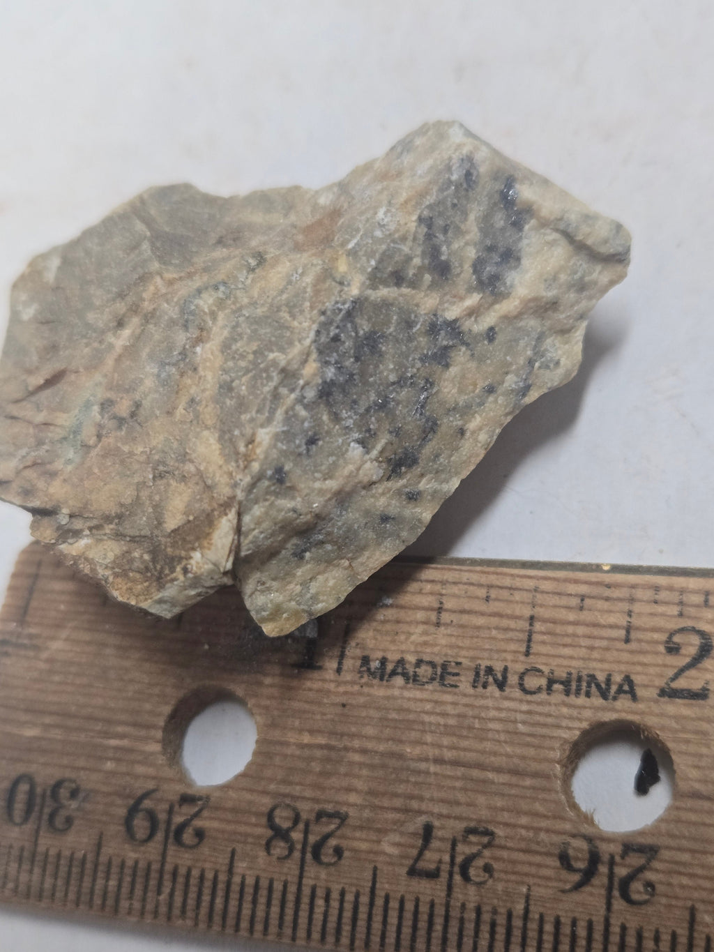 Scainiite specimen