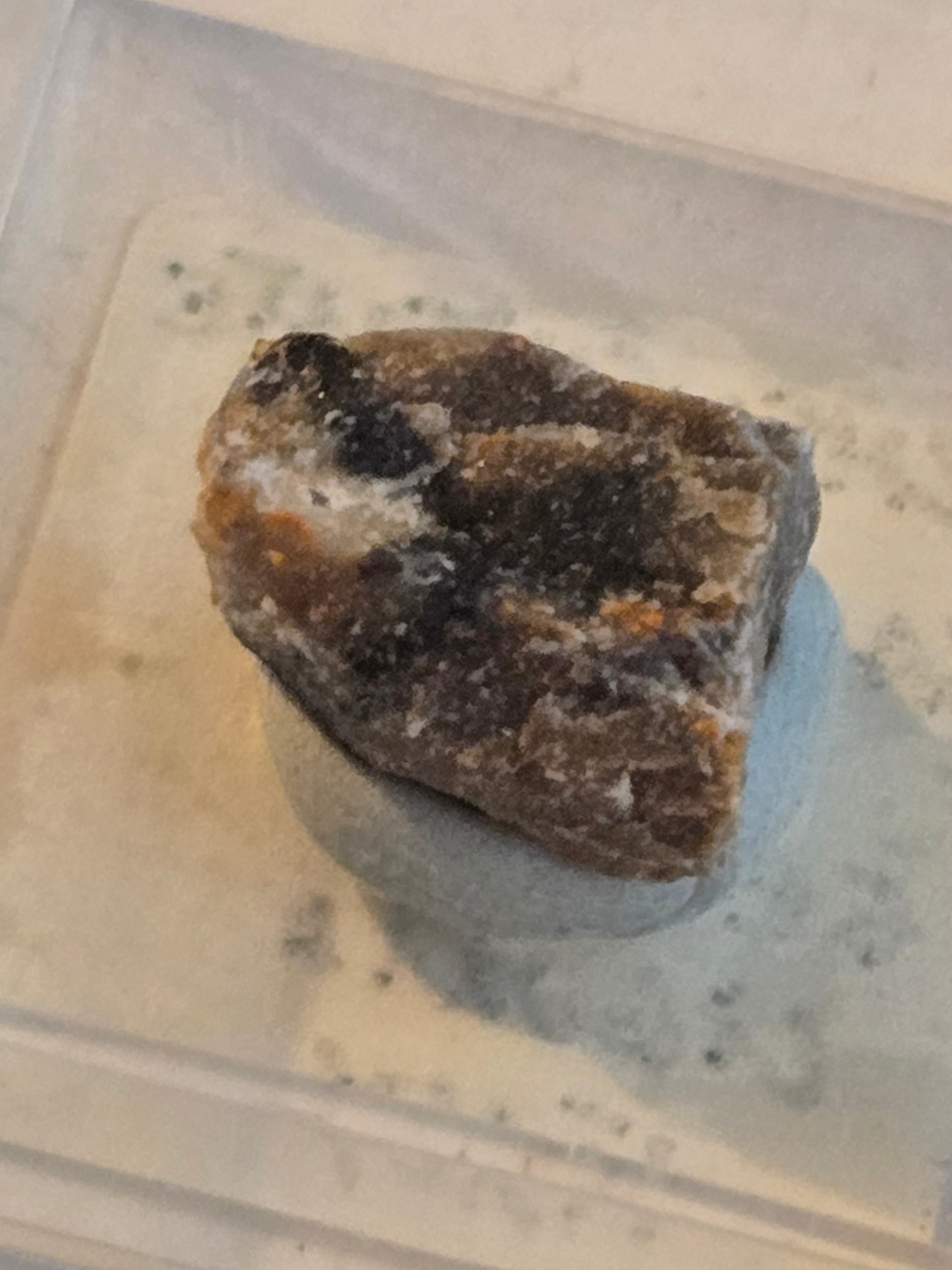 Scheuchzerite