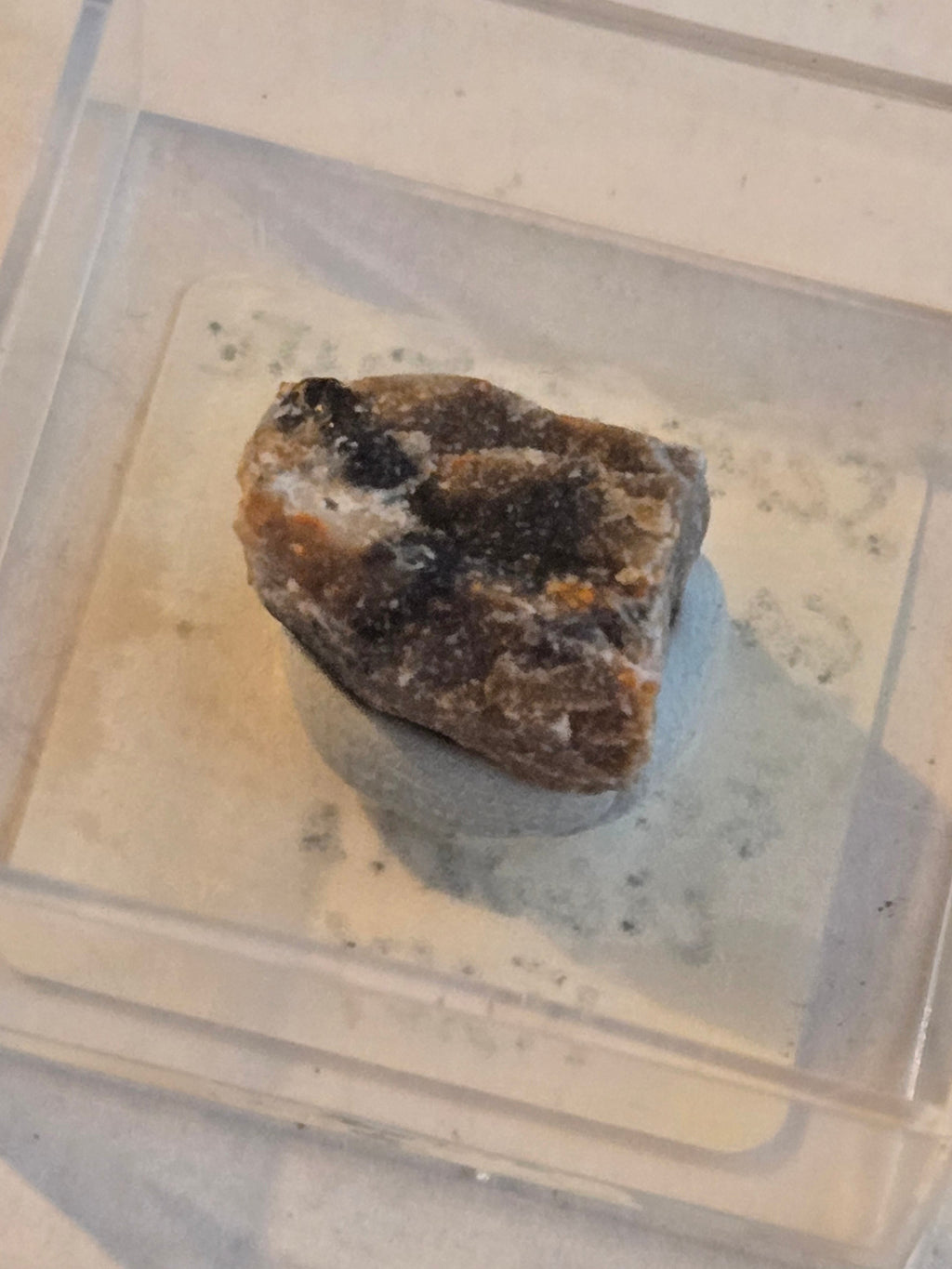 Scheuchzerite