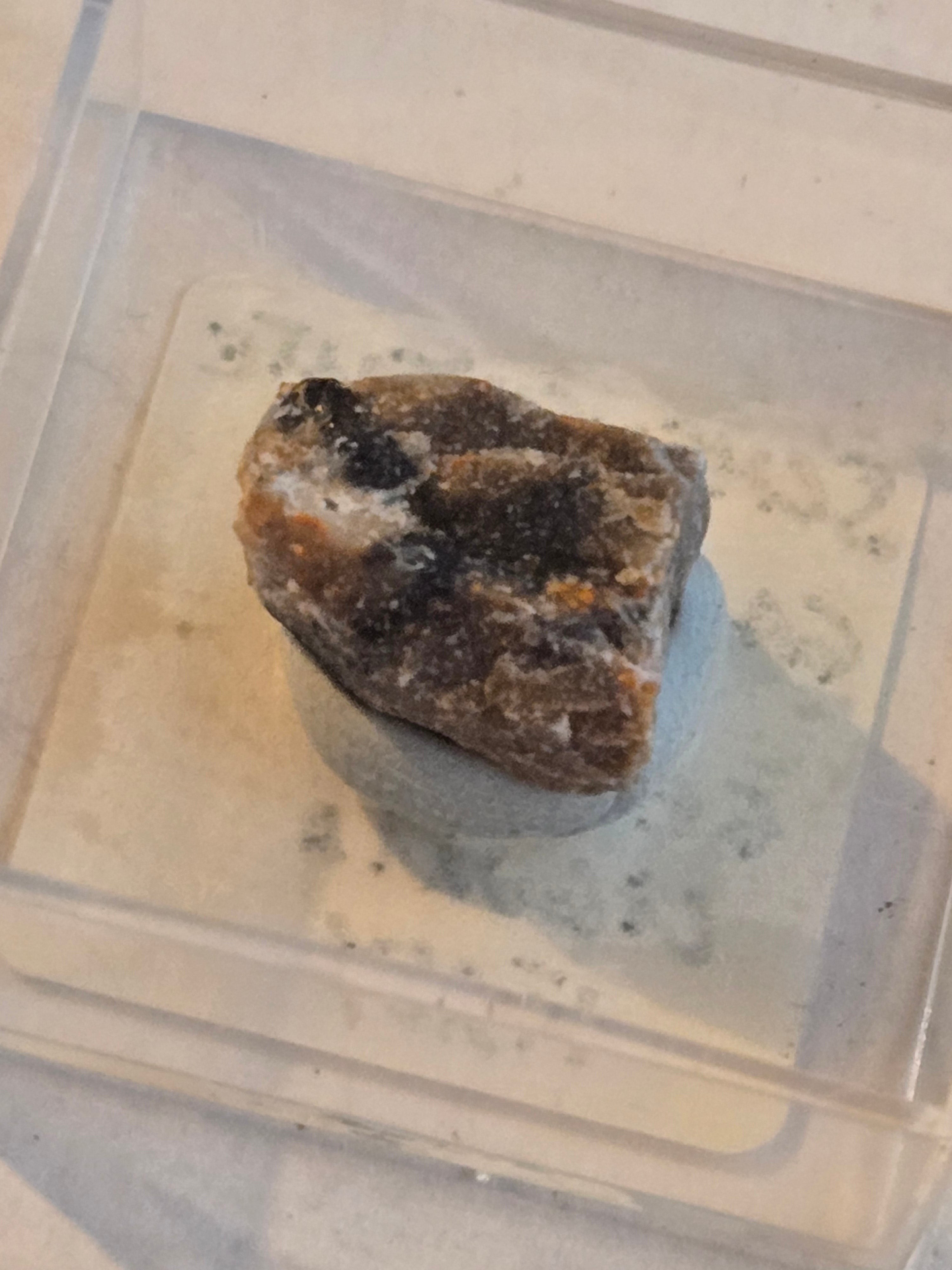 Scheuchzerite