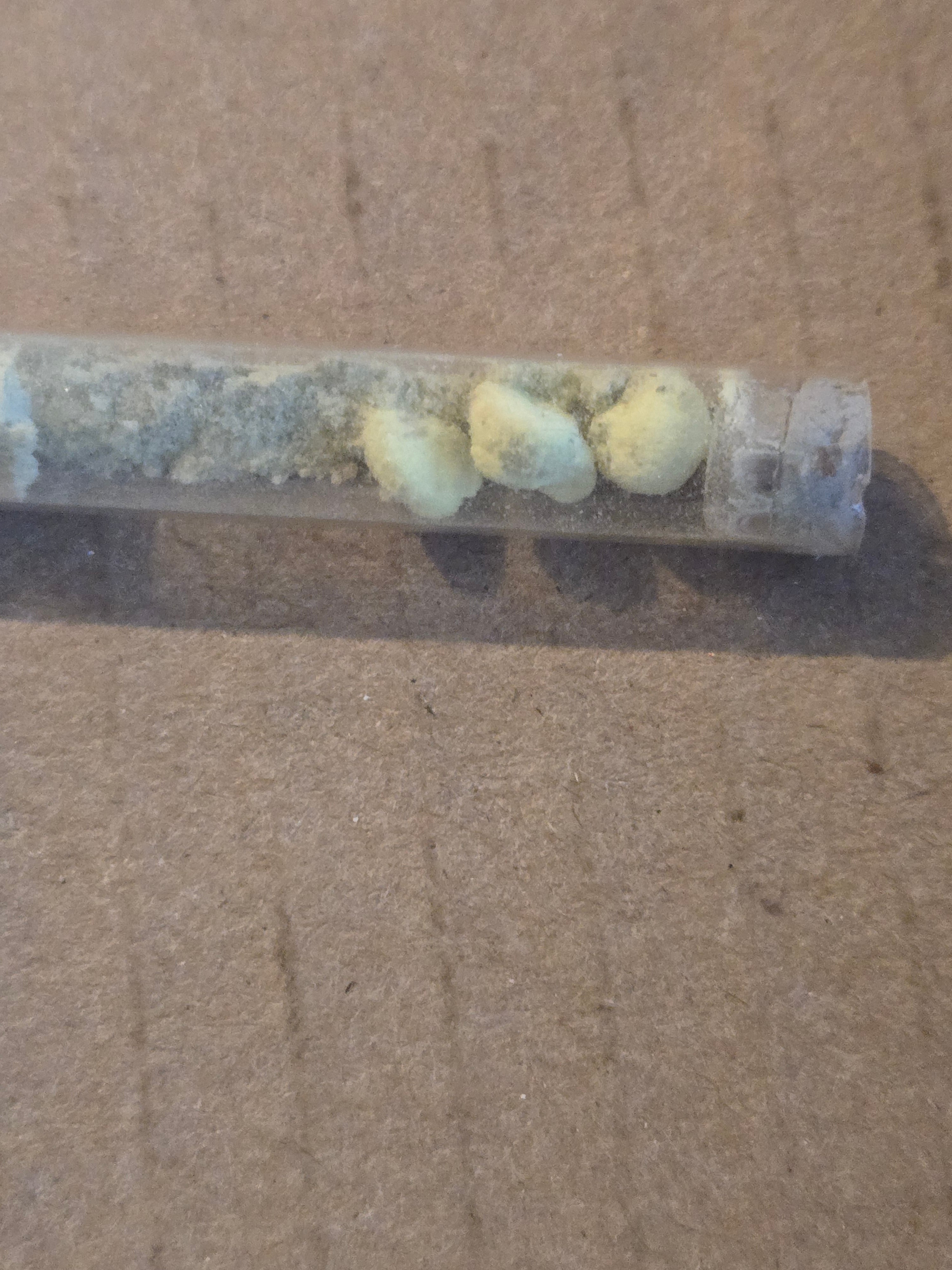 Schrokingerite