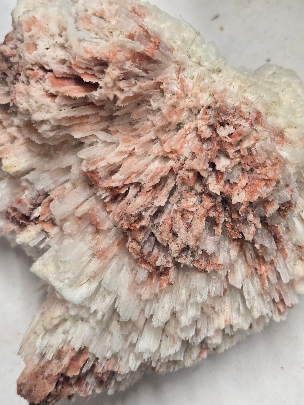 Scolecite