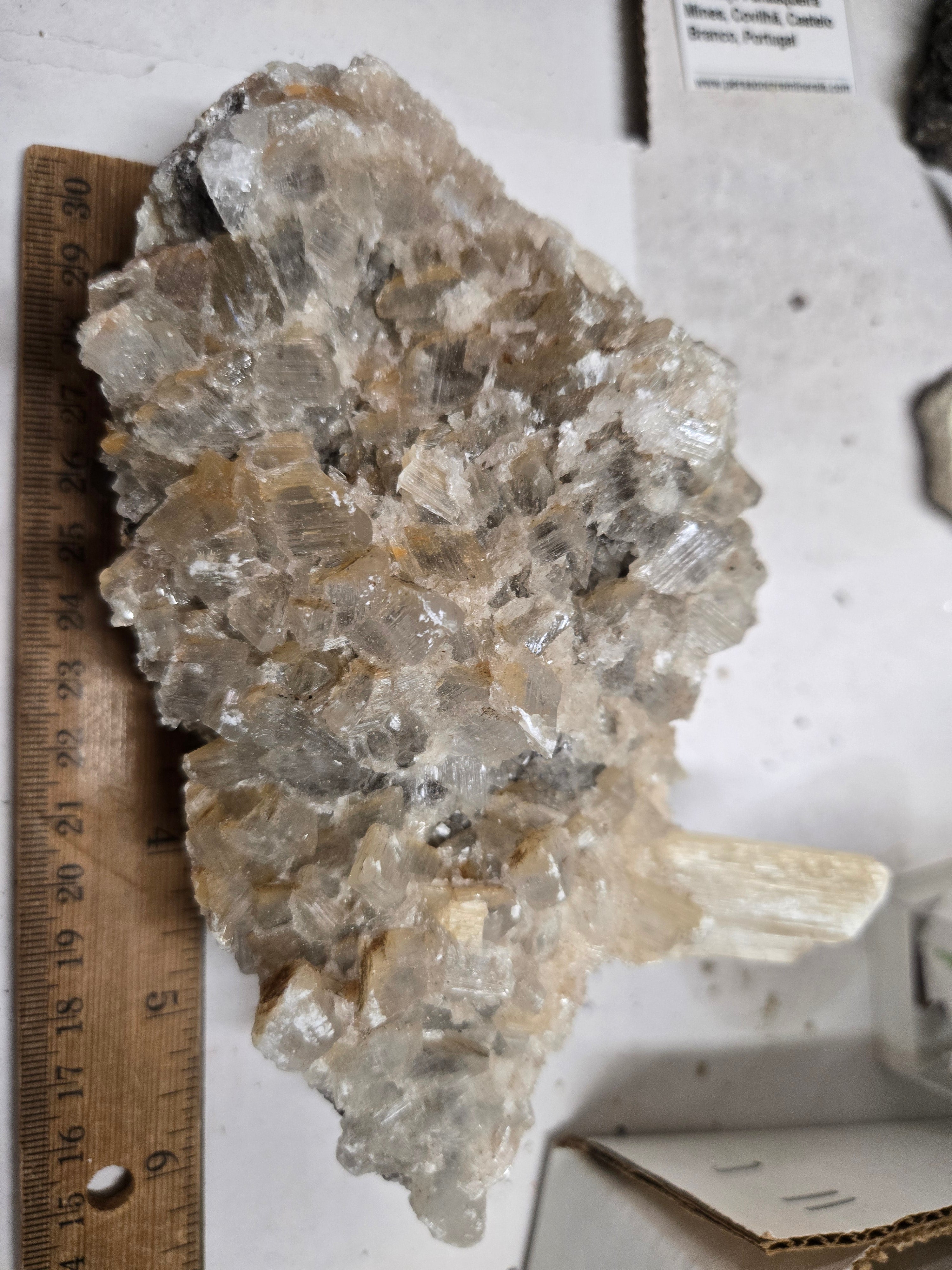 Selenite