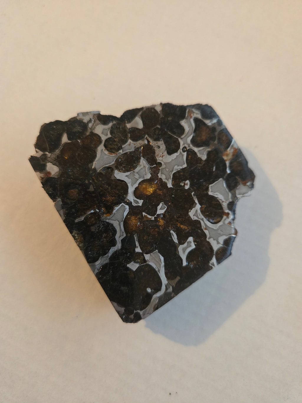Sericho Pallasite endcut