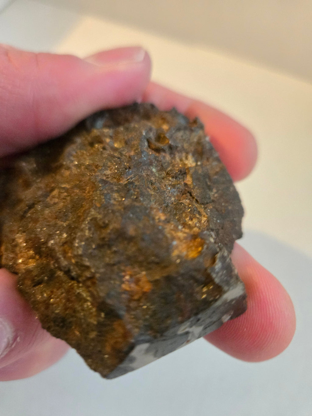 Sericho Pallasite endcut
