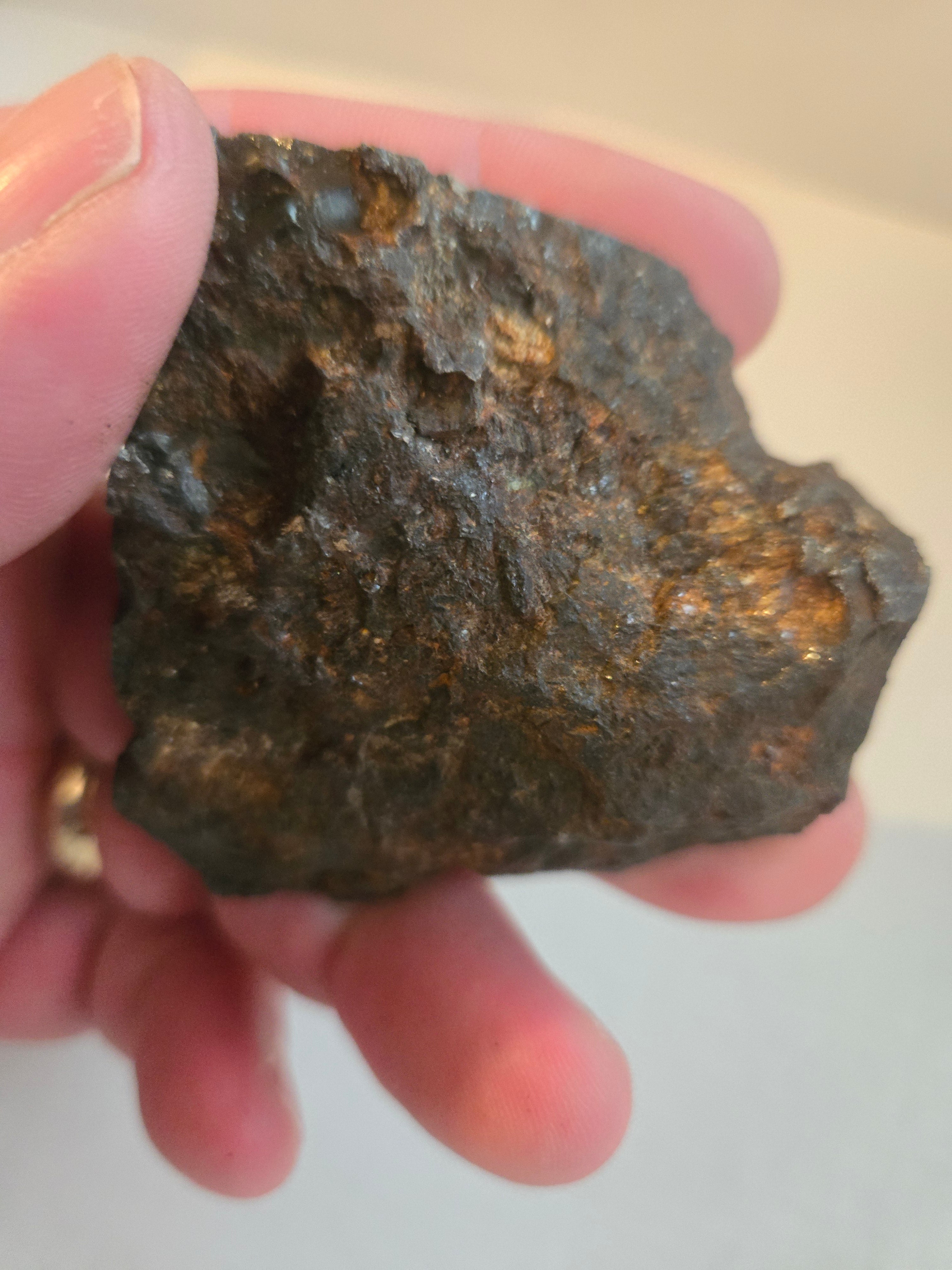 Sericho Pallasite endcut