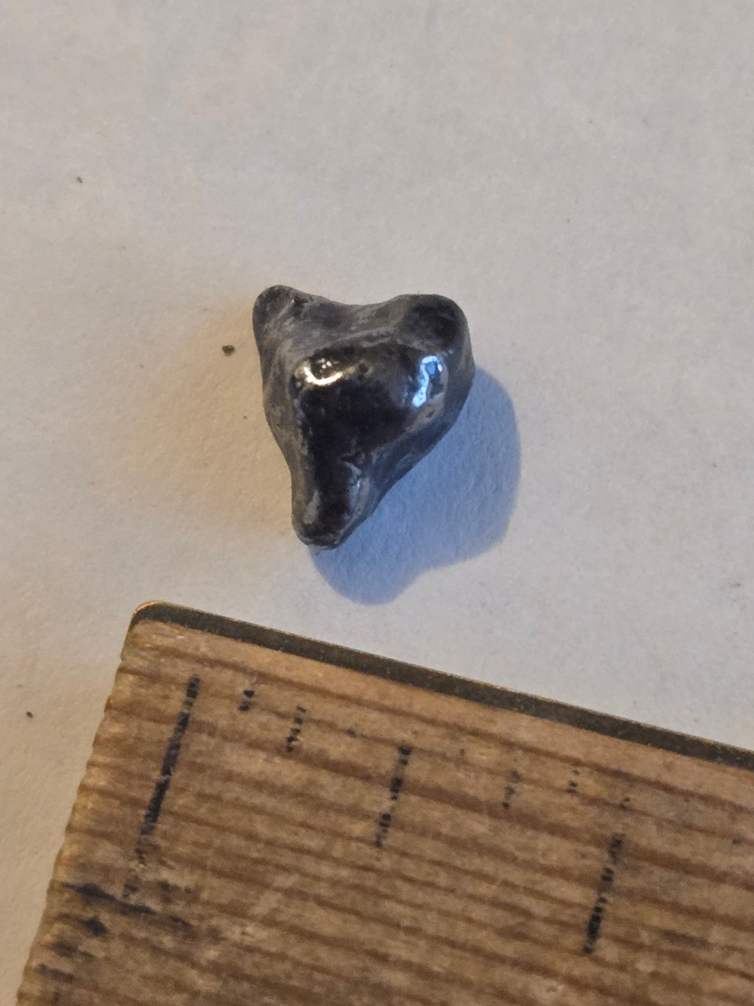 Seymchan meteorite