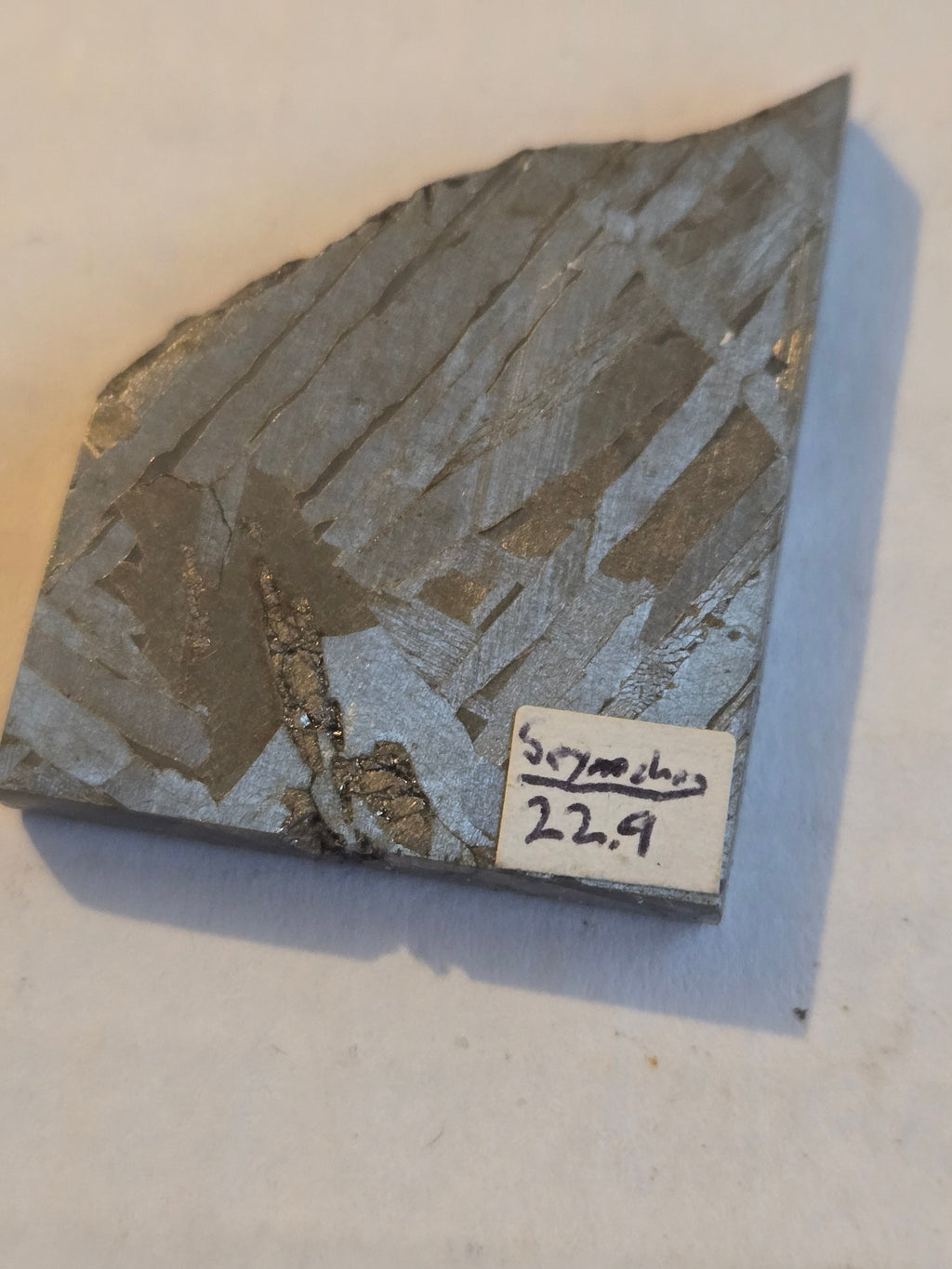 Seymchan pallasite