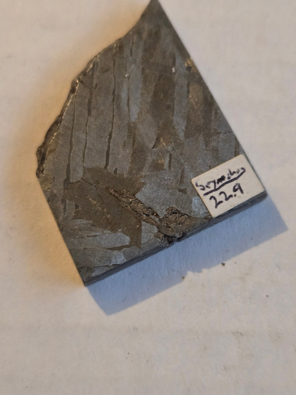 Seymchan pallasite
