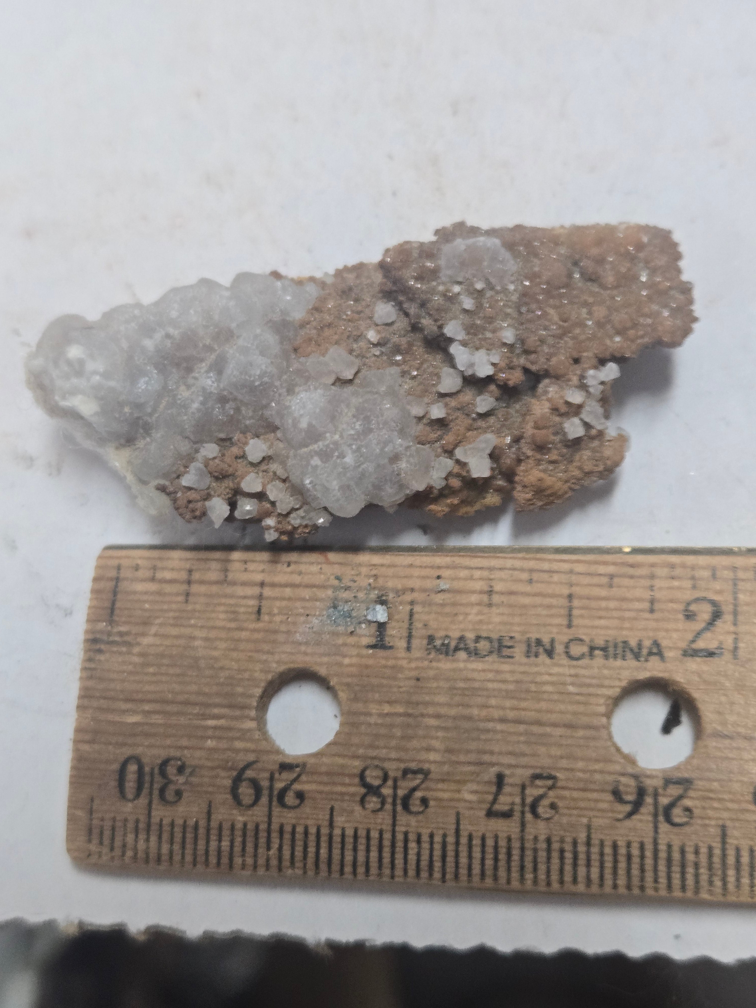 Smithsonite turkey fat