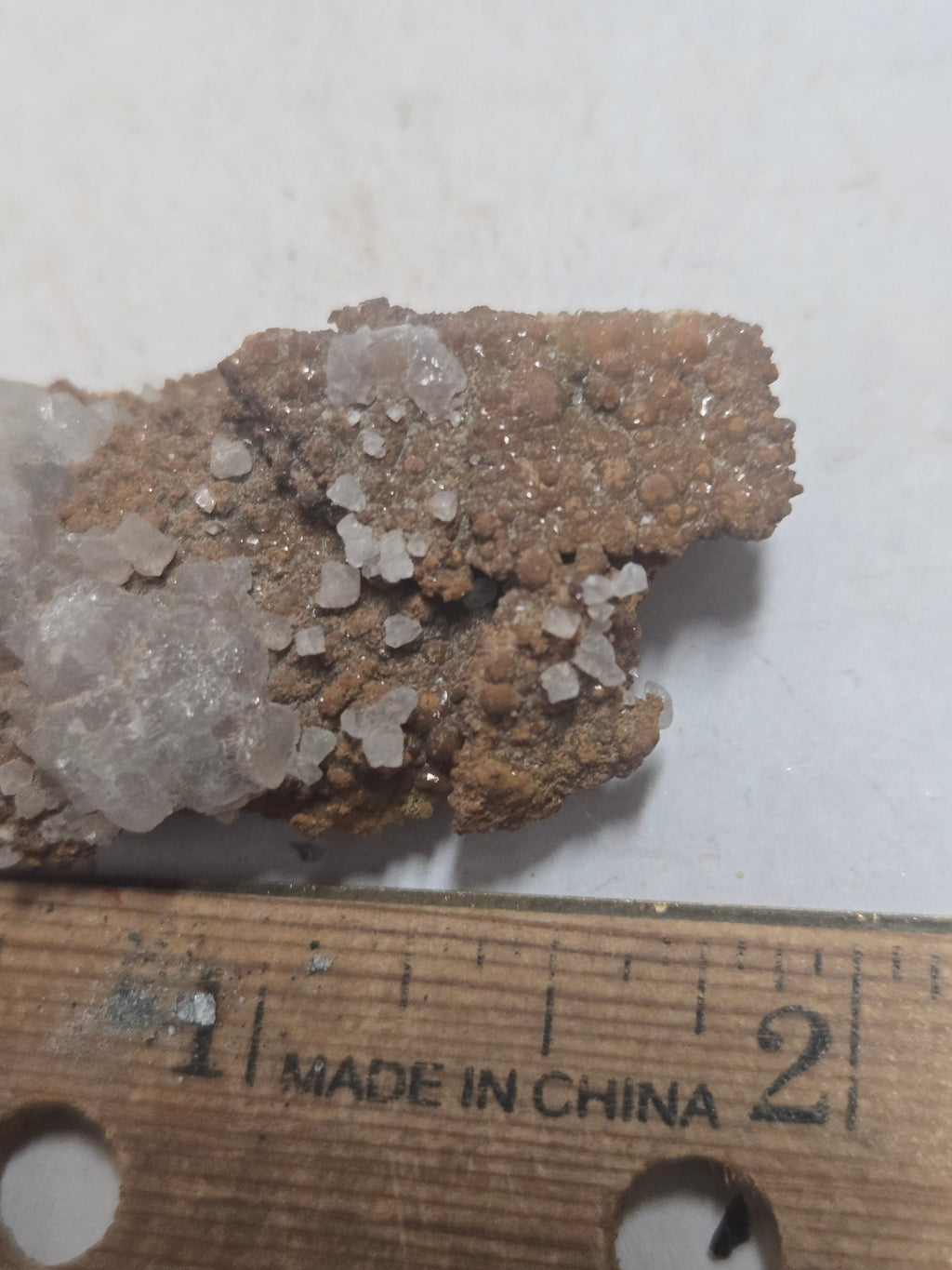 Smithsonite turkey fat