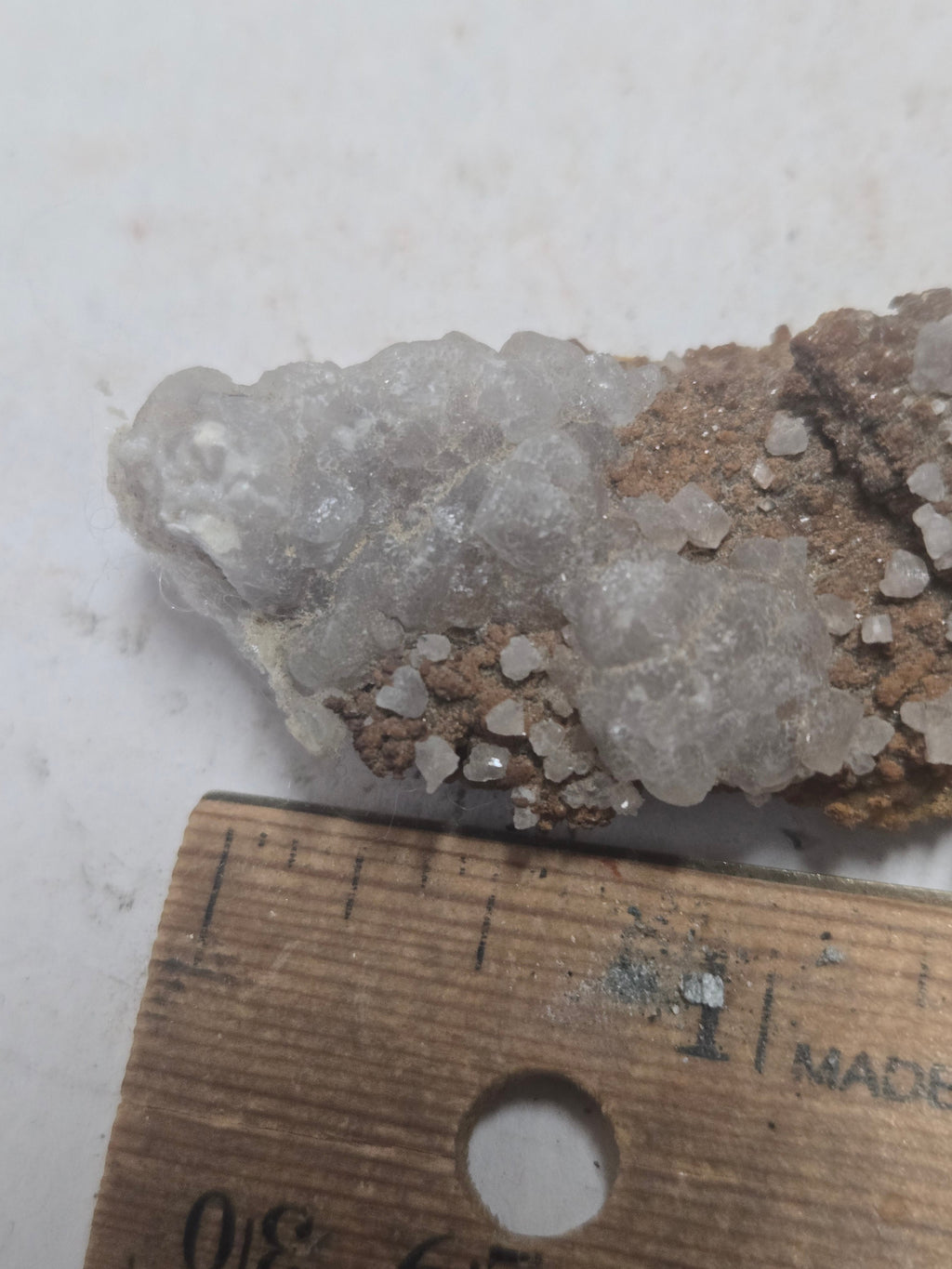 Smithsonite turkey fat