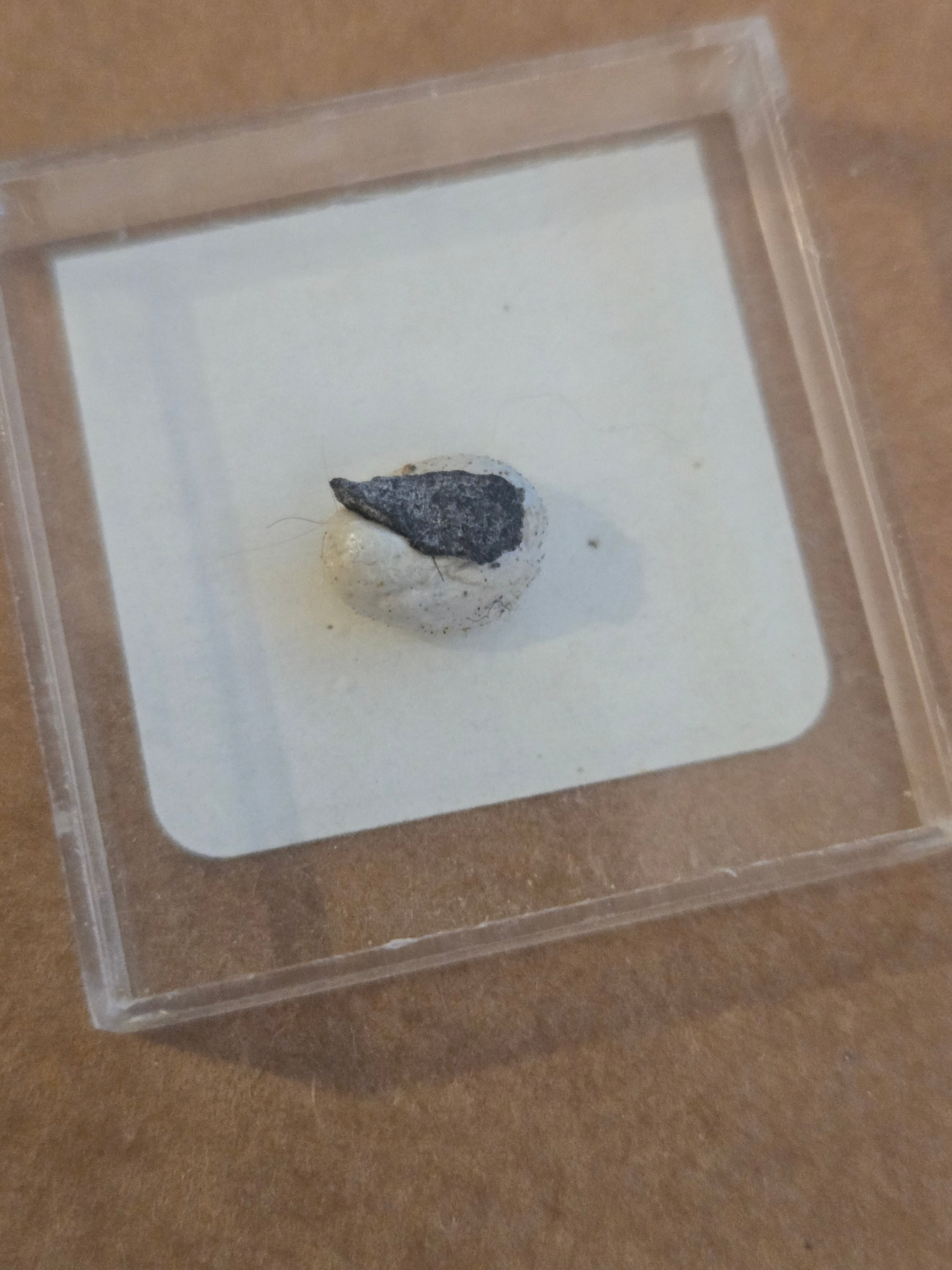 Srebrodolskite w spurrite