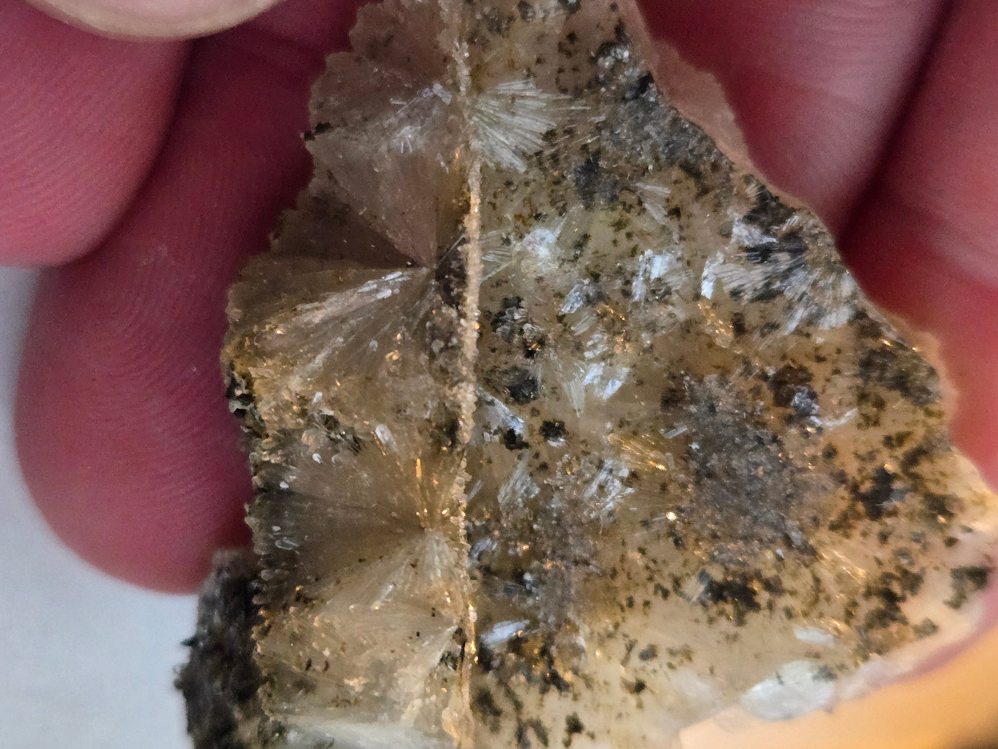Stellerite