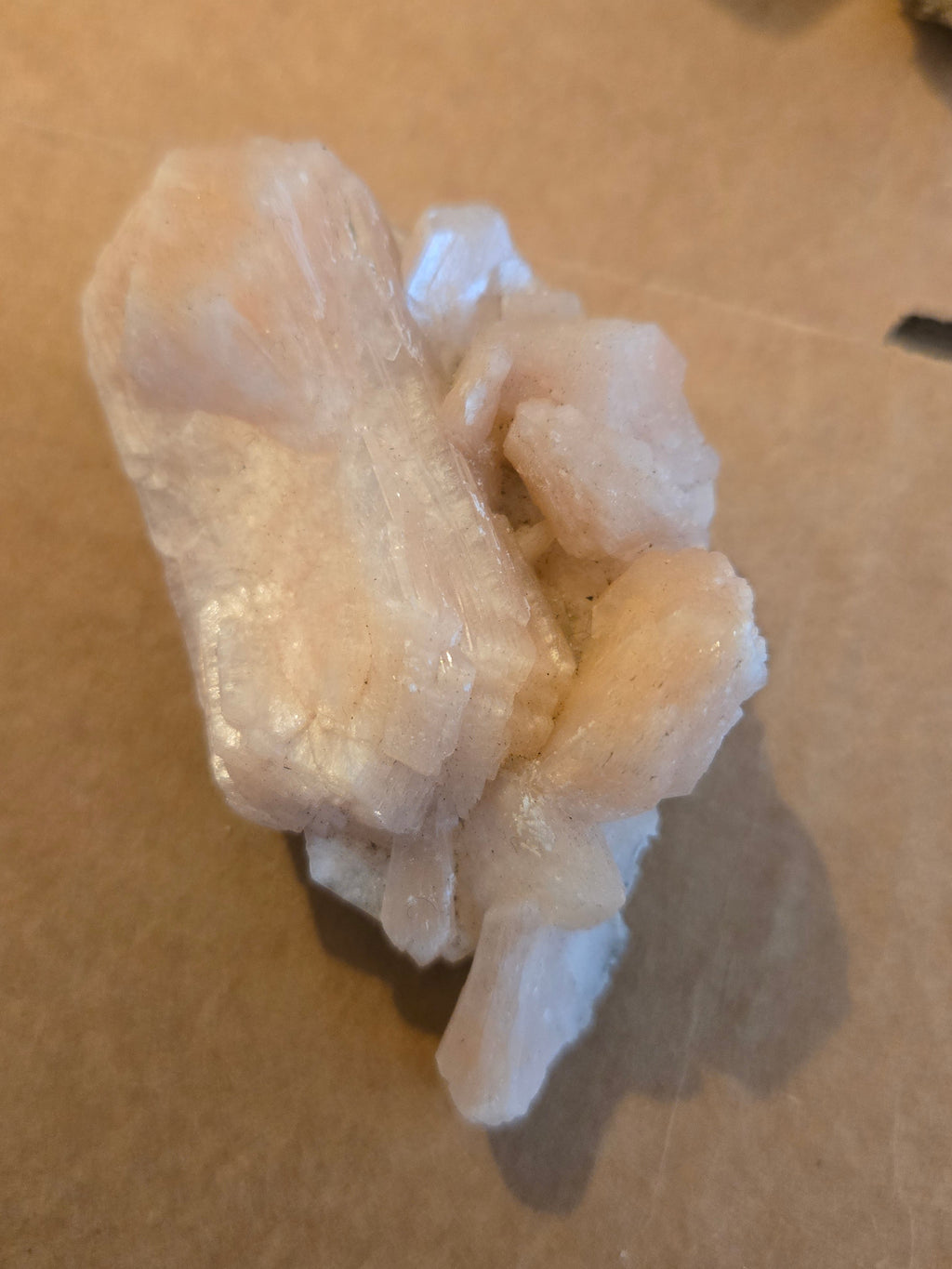 Stilbite bowtie