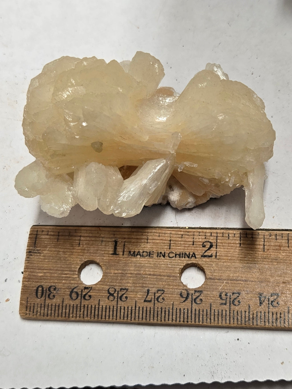Stilbite bowtie