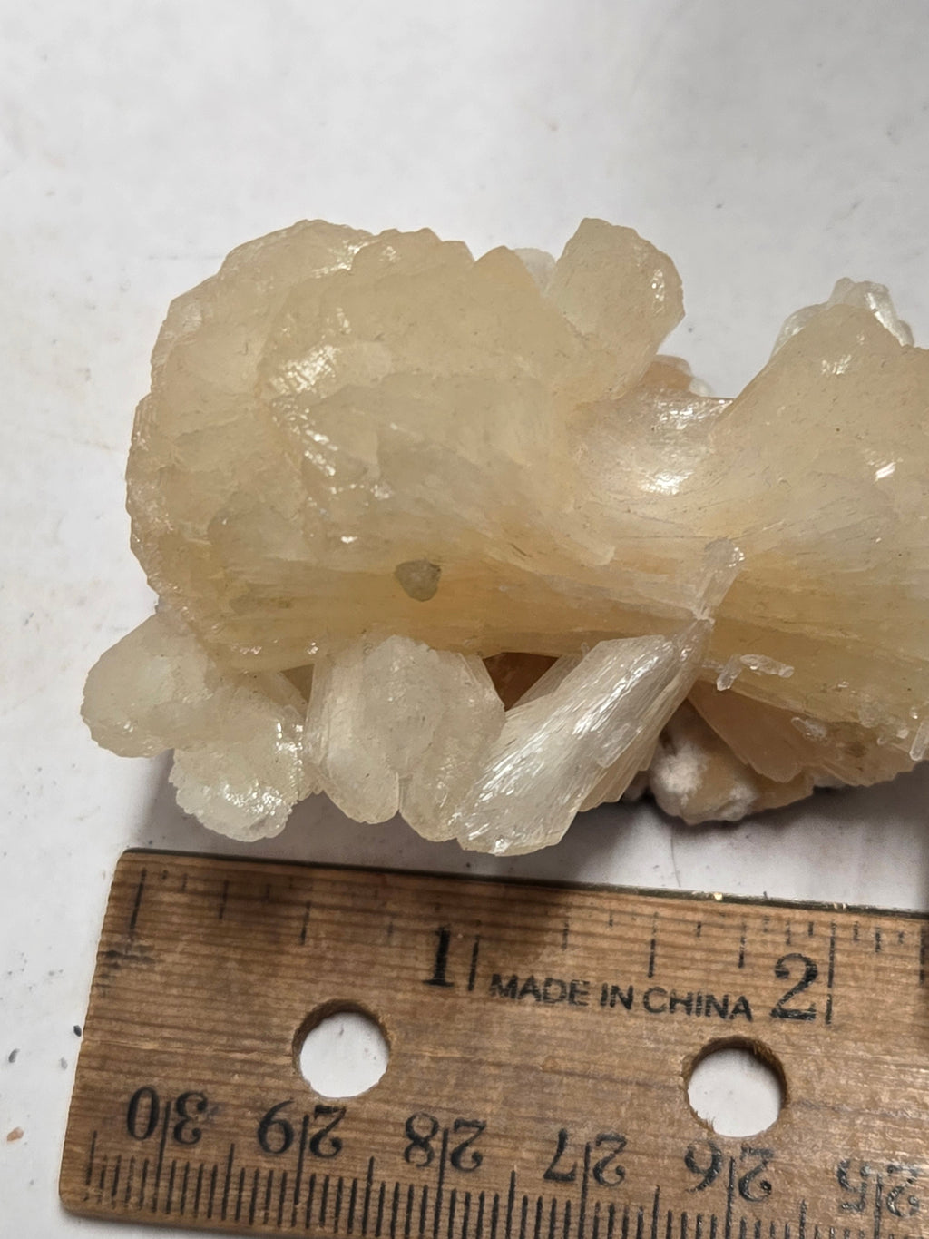 Stilbite bowtie