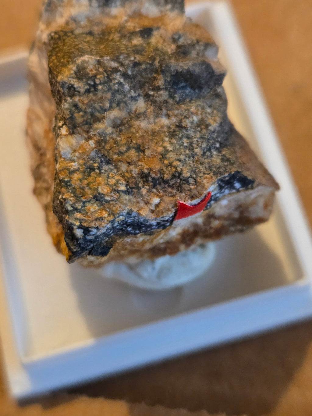 Tainiolite