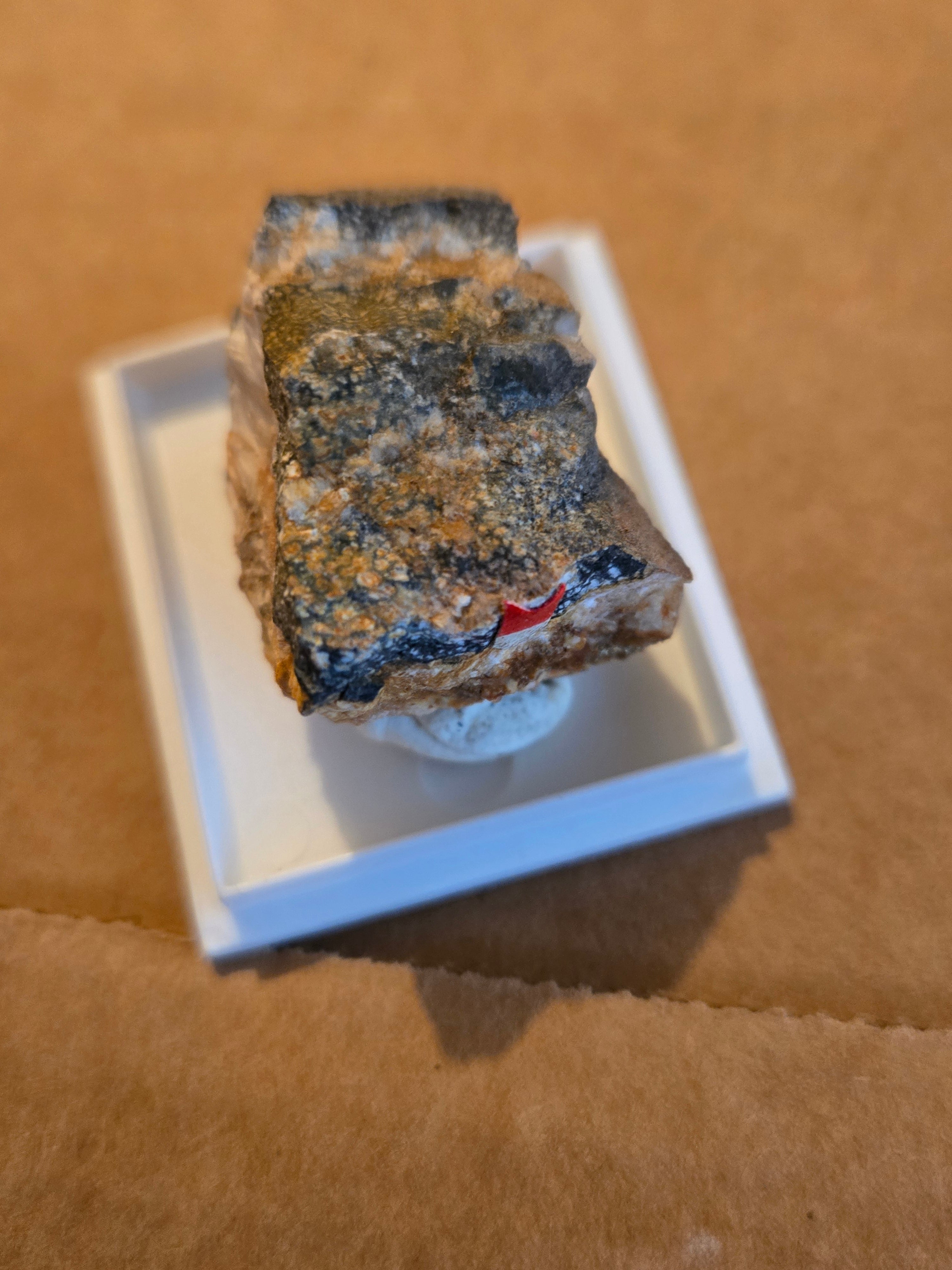 Tainiolite