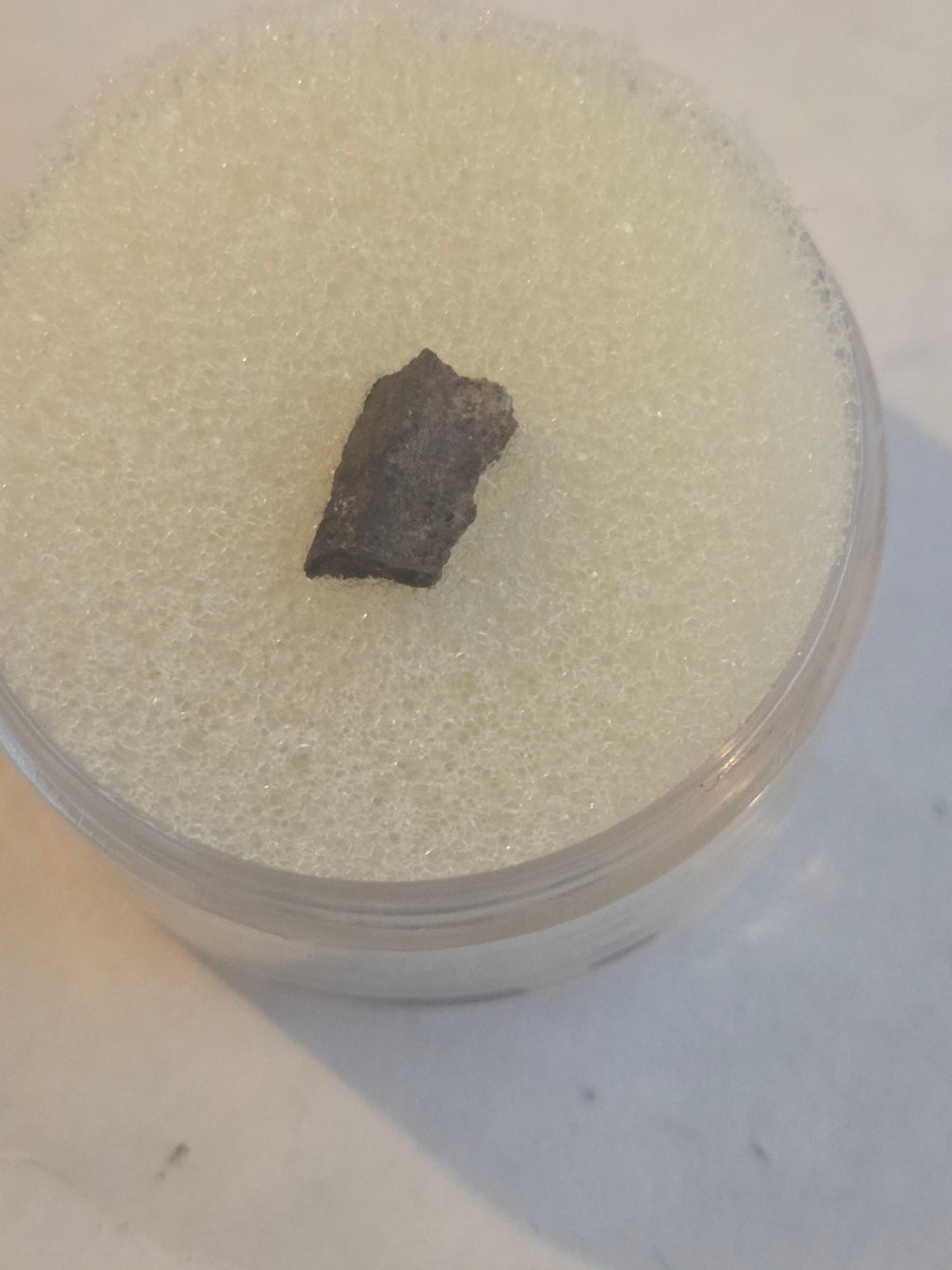 Tank Mountain Meteorite Specimen