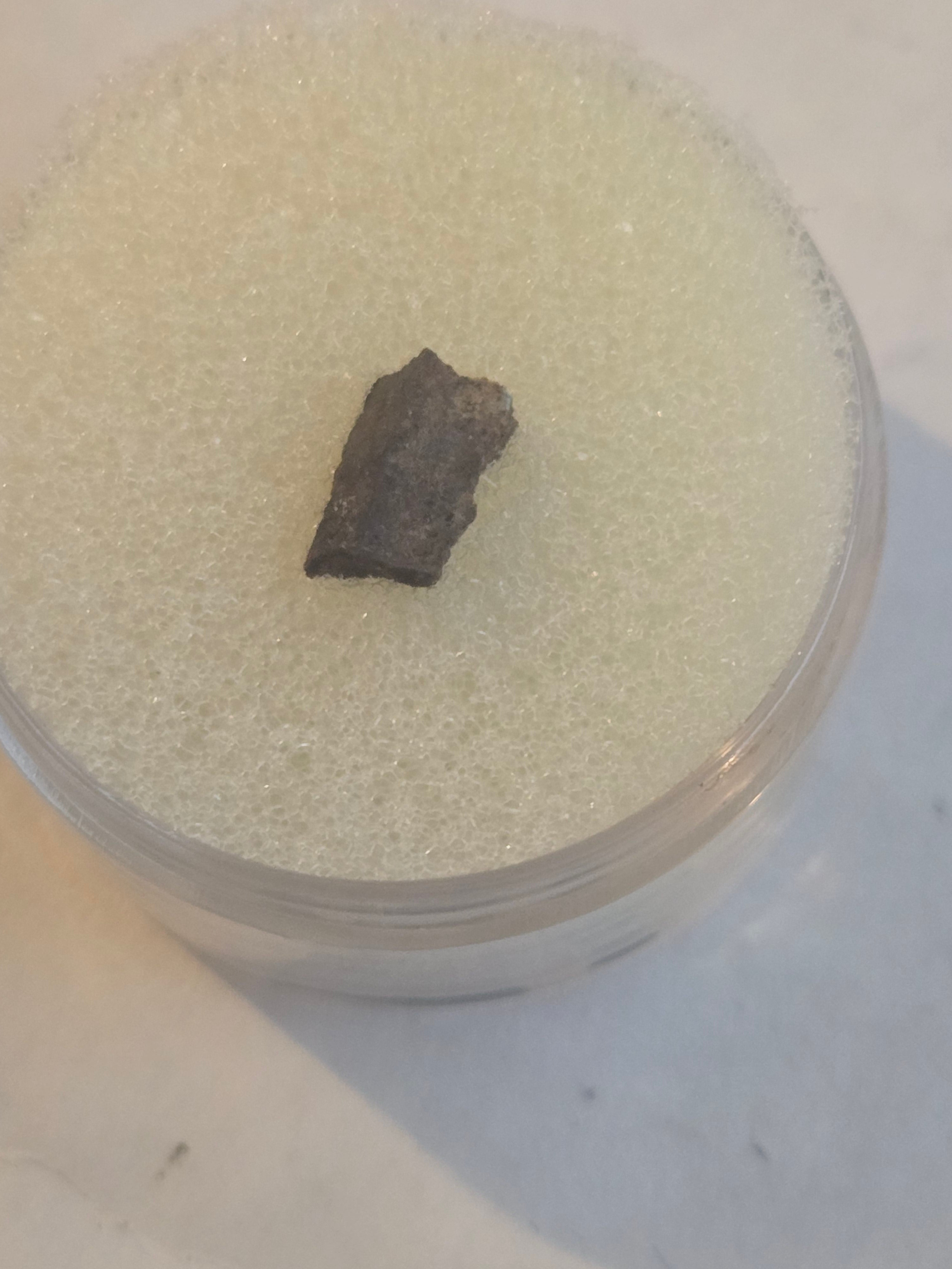 Tank Mountain Meteorite Specimen