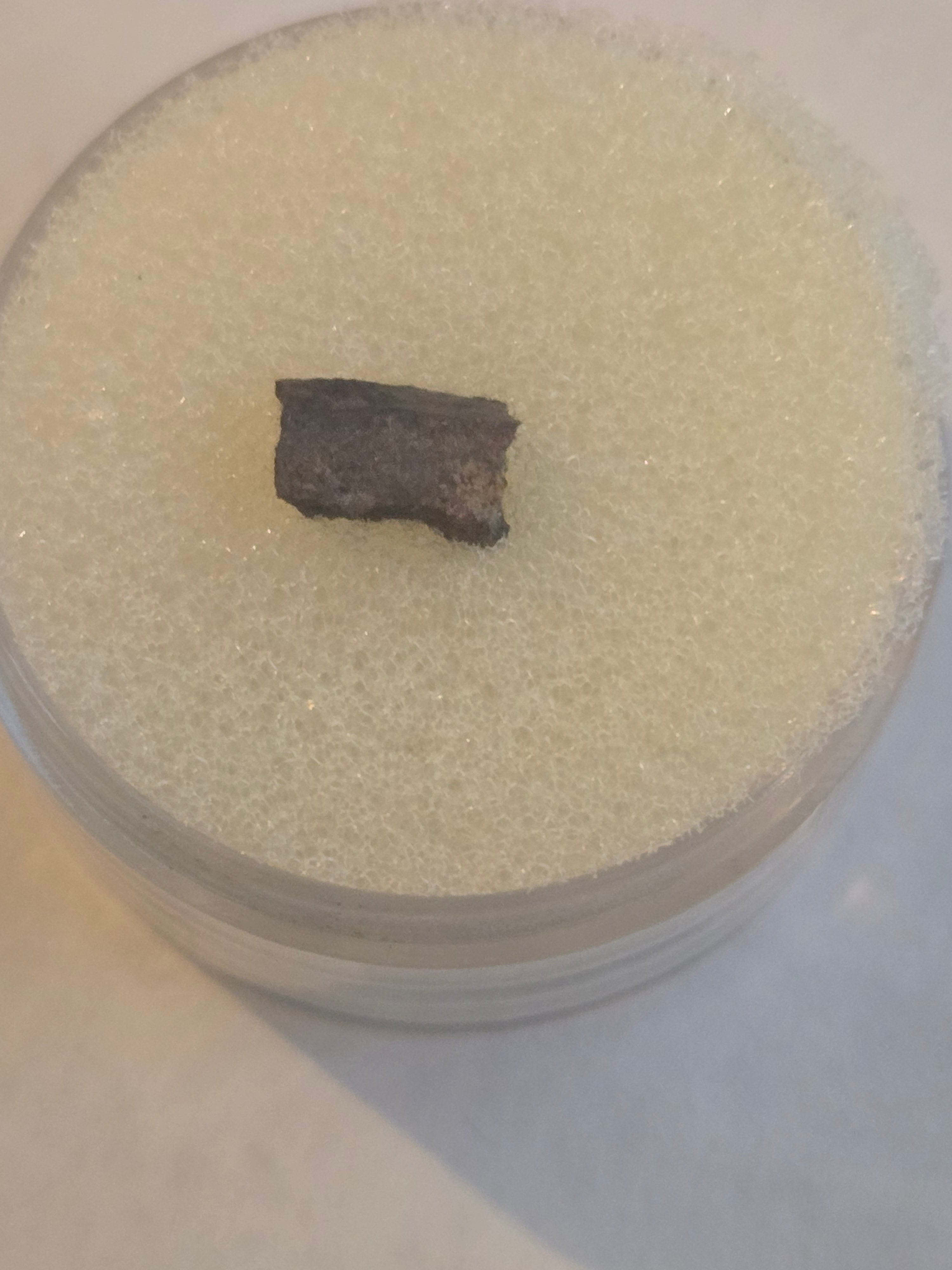 Tank Mountain Meteorite Specimen