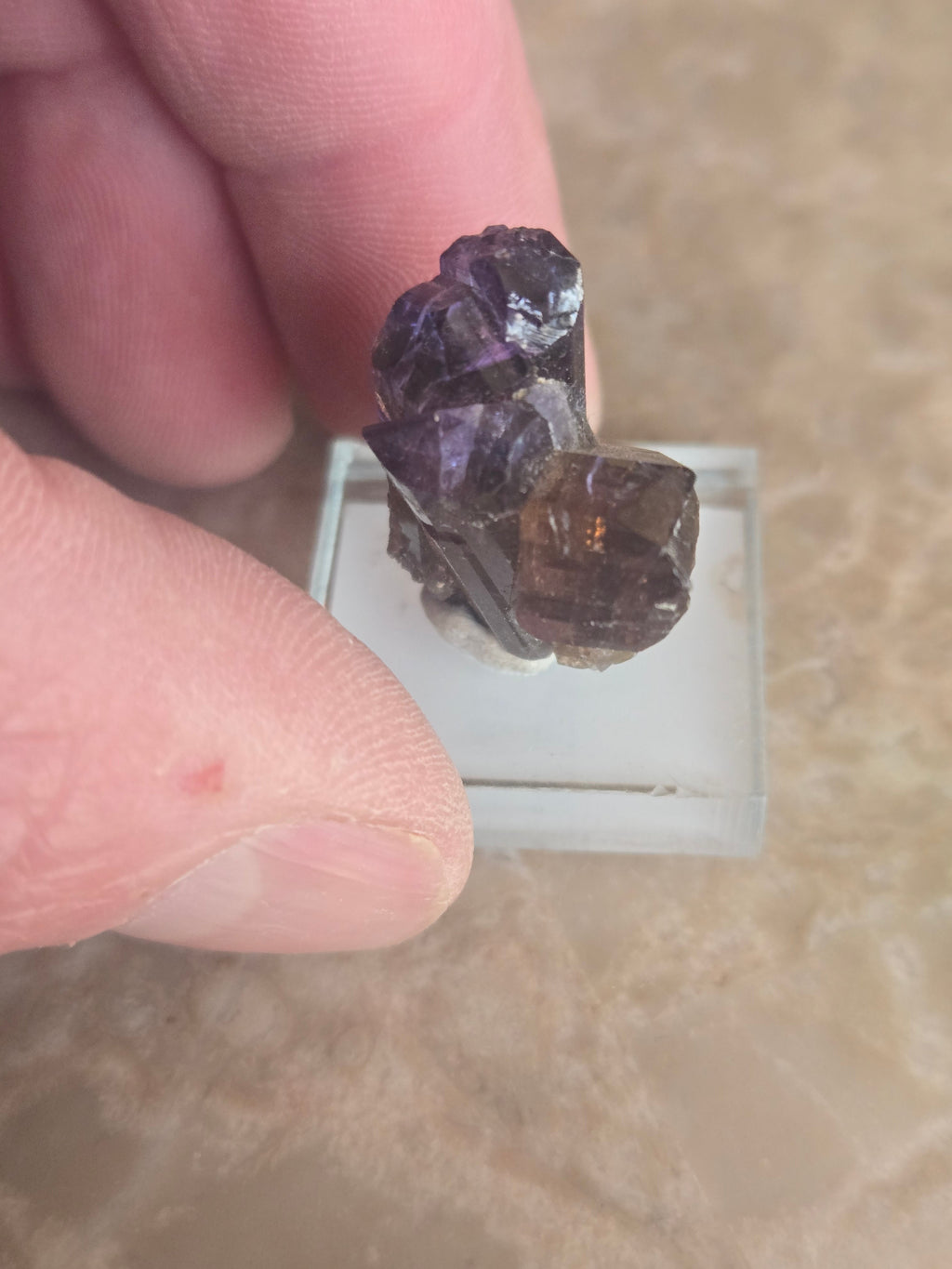 Tanzanite Twinned crystal Cluster
