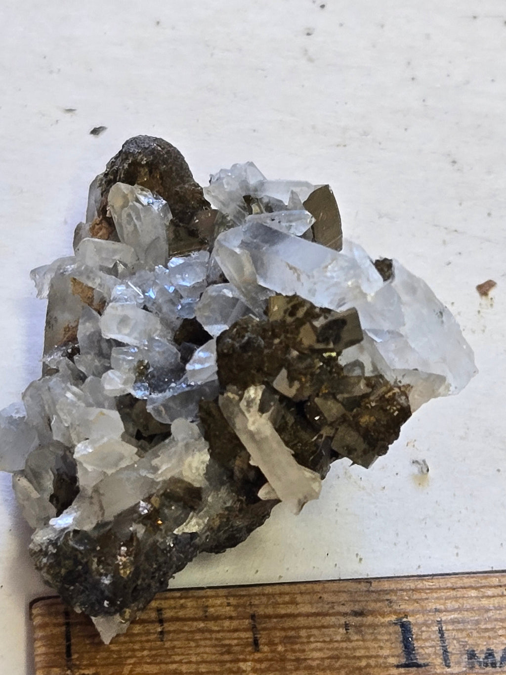 Tetrahedrite w Quartz