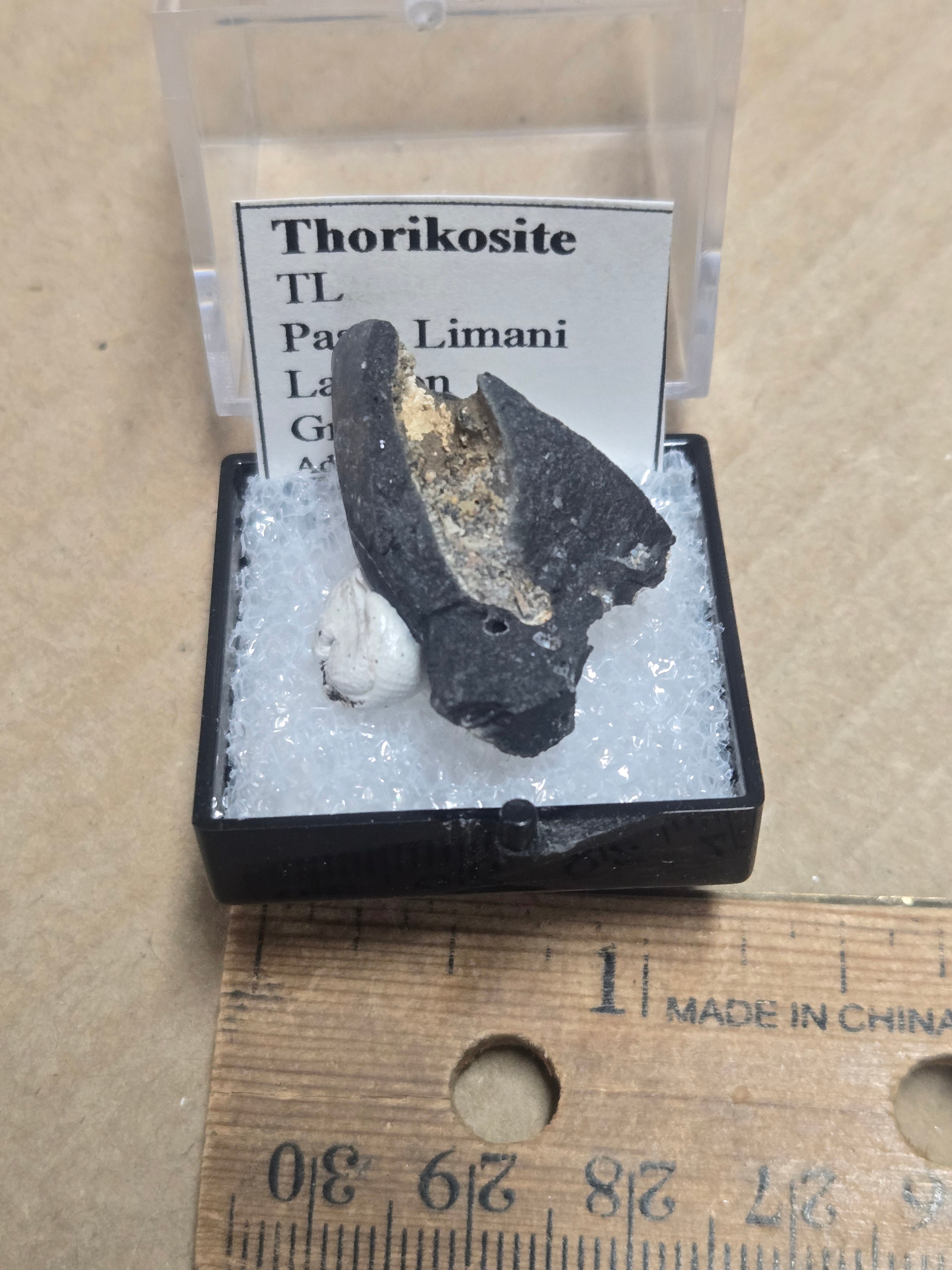Thorikosite